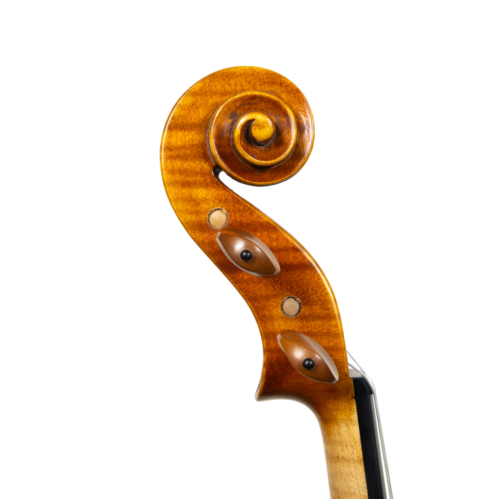 Violin - Linea Macchi, Guarneri "Cannone" 2026 Adige