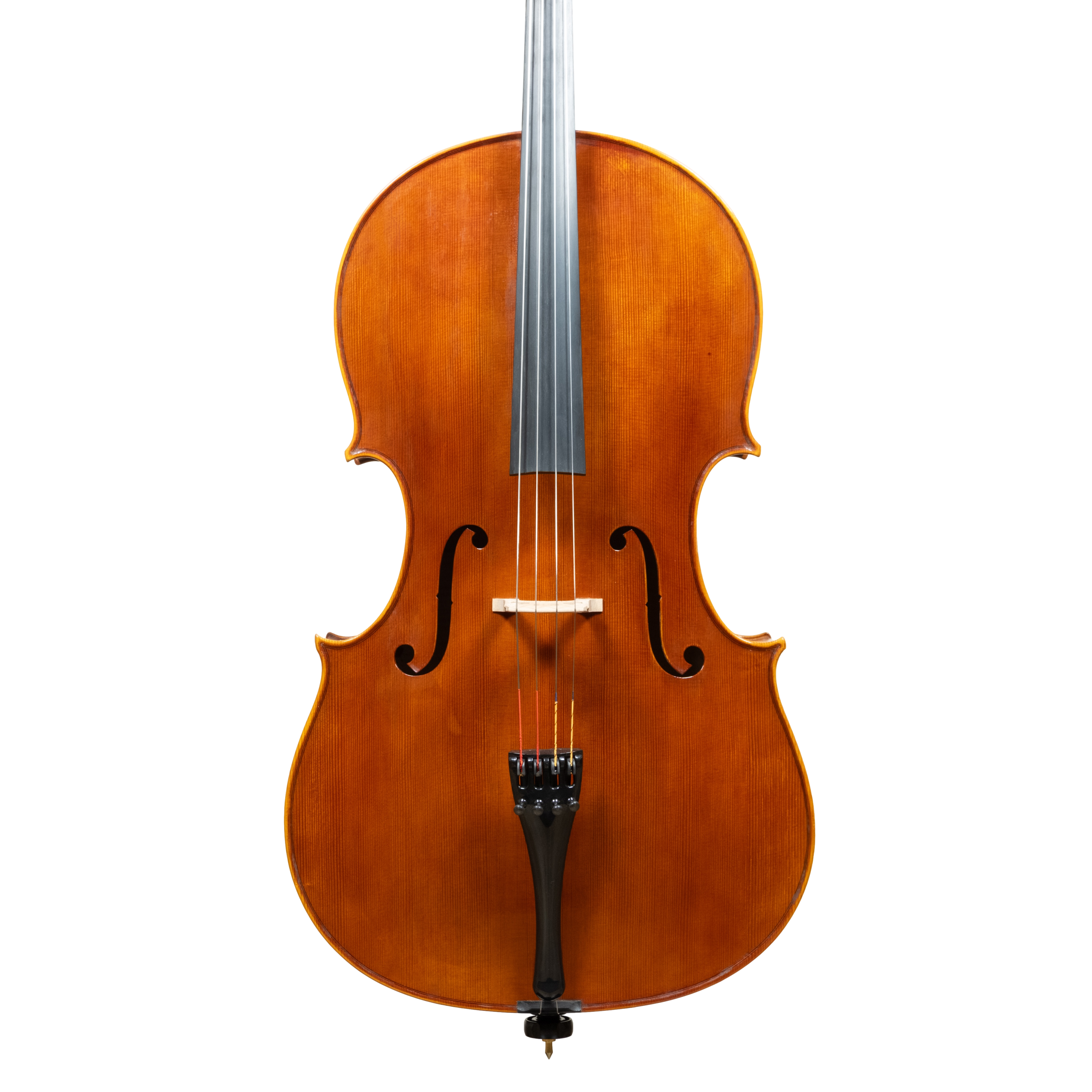 Cello - Linea Macchi, Domenico Montagnana "Sleeping Beauty", Cremona 2026