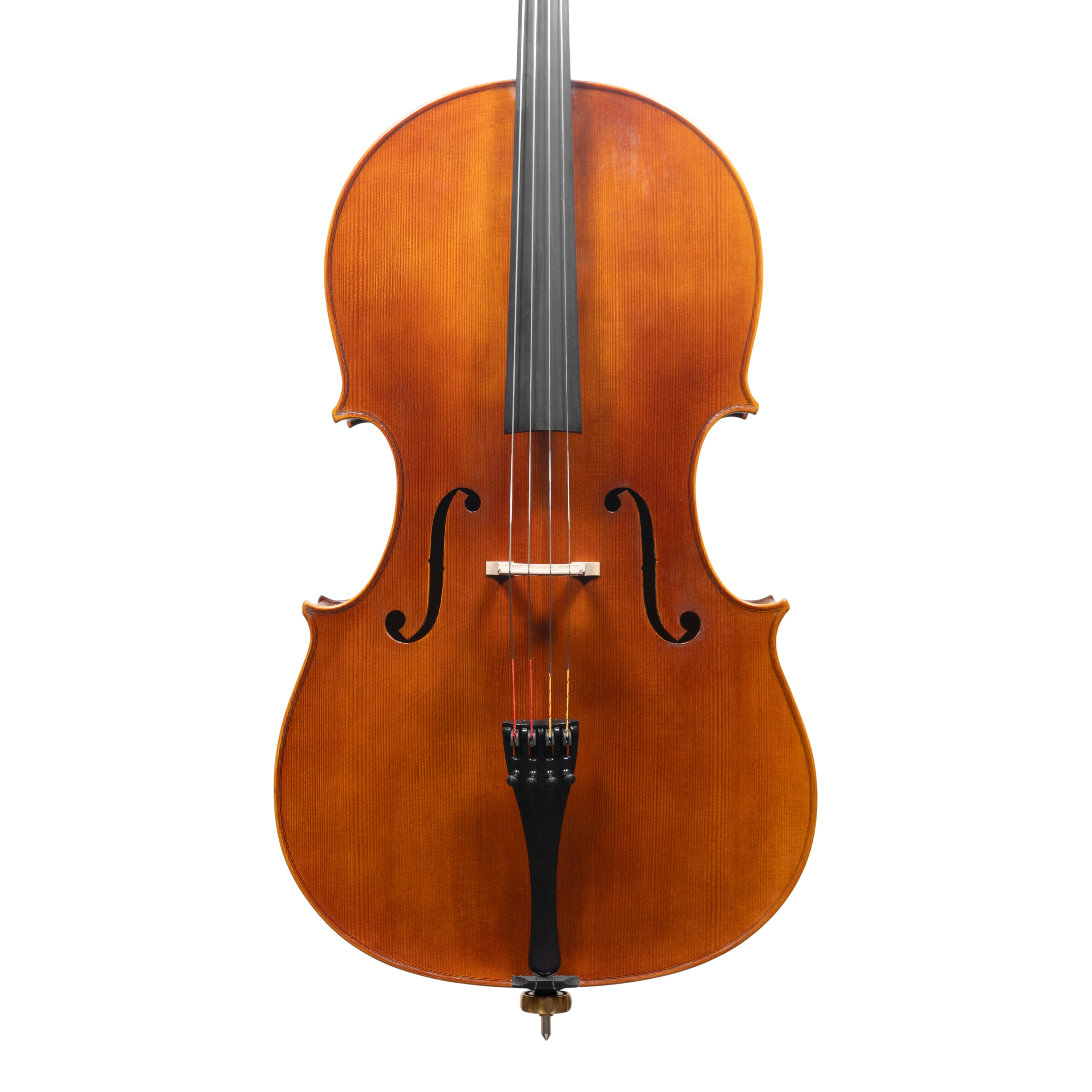 Cello - Linea Macchi, Domenico Montagnana "Sleeping Beauty", Cremona 2025 (1)