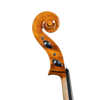 Cello - Scala Perfetta, Stradivari, Cremona 2025 "APLI"
