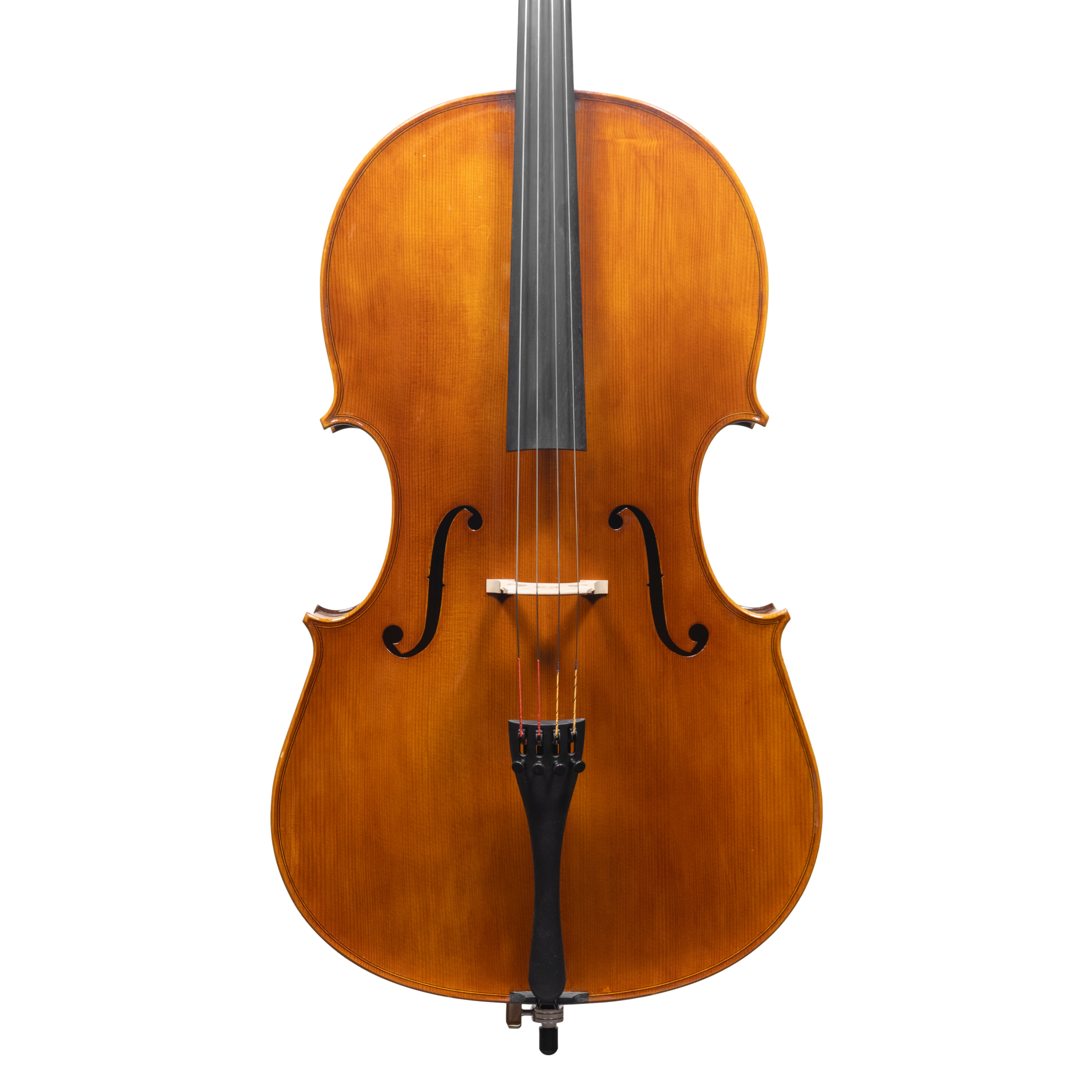 Cello - Scala Perfetta, Montagnana, Cremona 2025 "CERVATI"