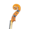 Violin - Scala Perfetta, Guarneri, Cremona 2024 D