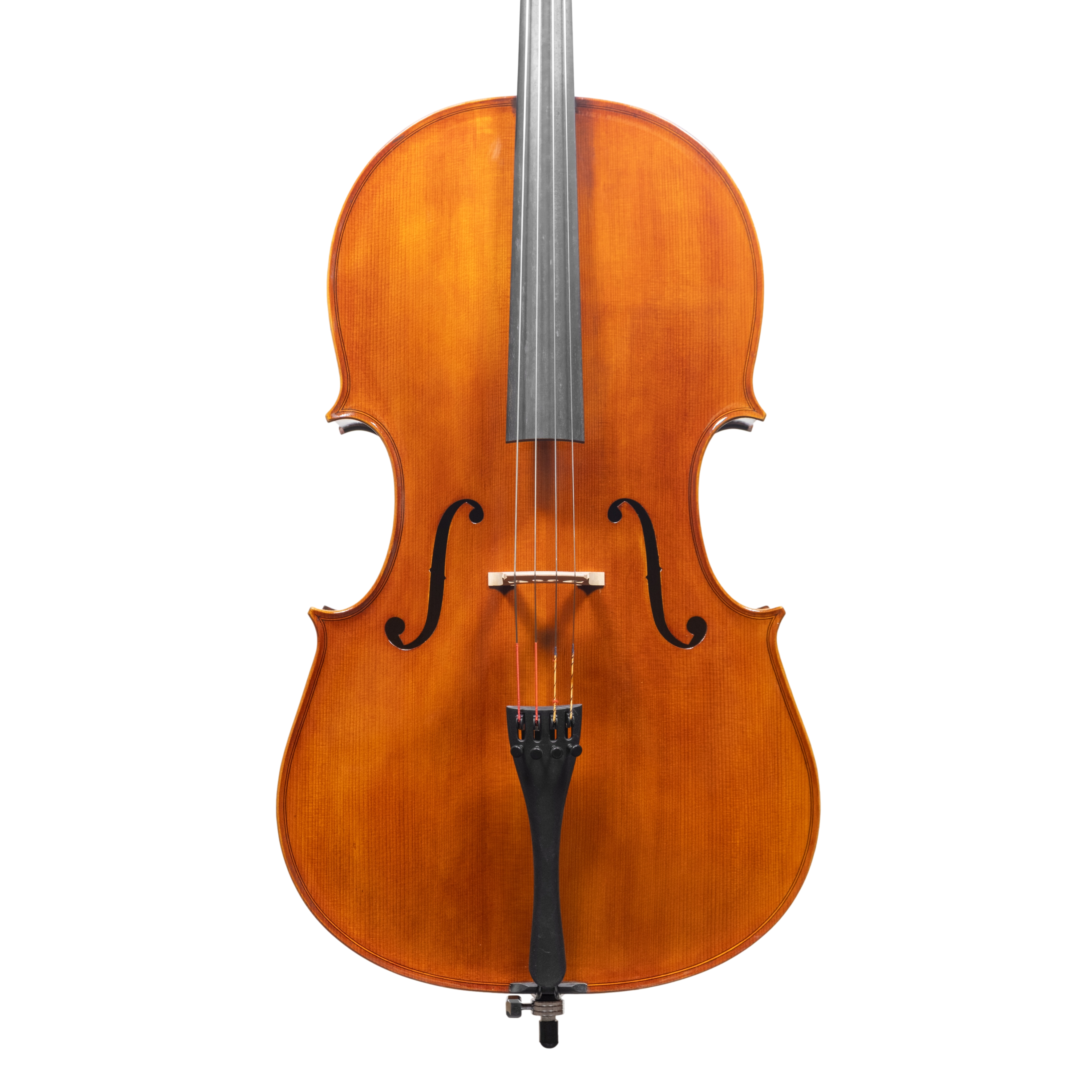 Cello - Scala Perfetta, Montagnana, Cremona 2025 "CIMA TOSA"