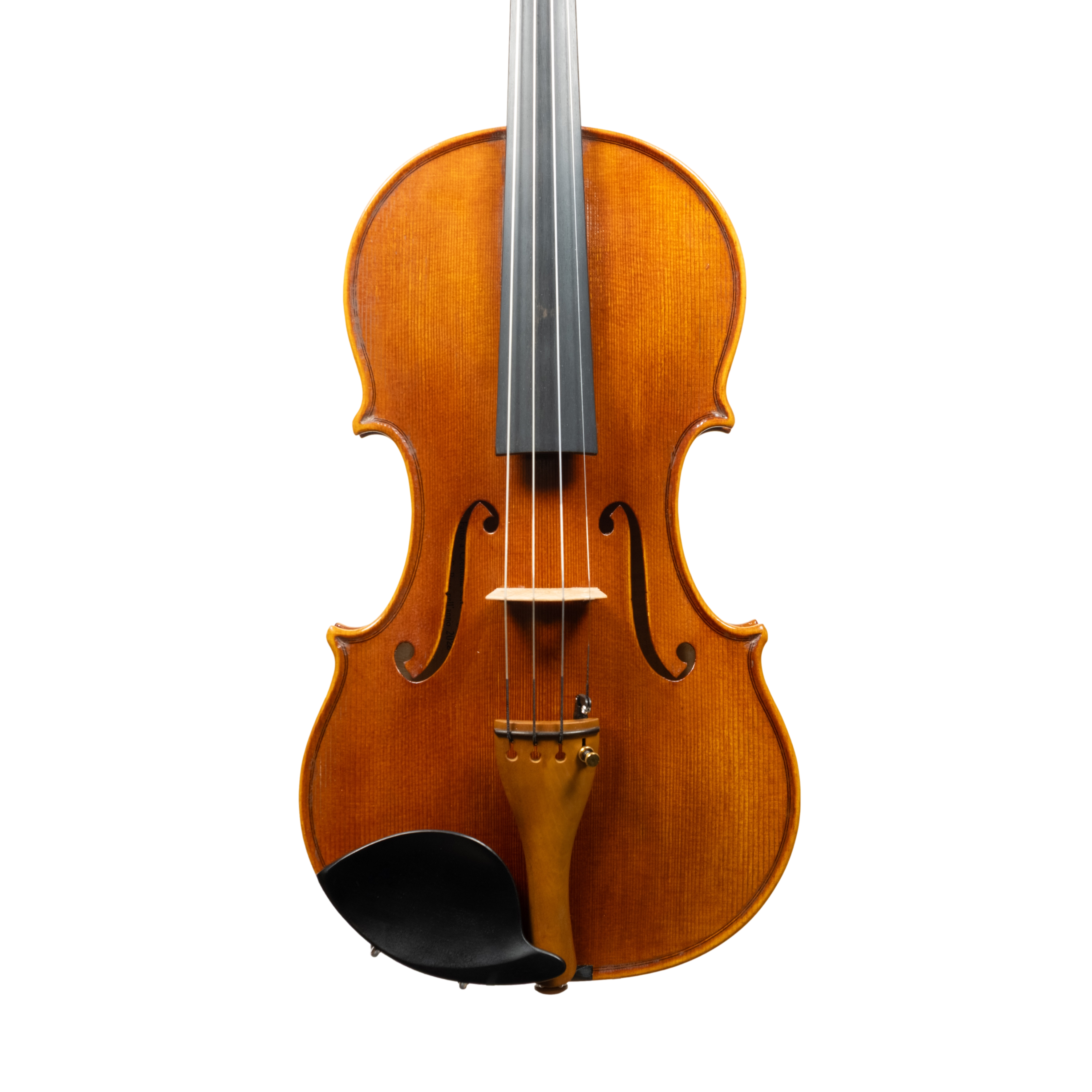 Violin - Linea Macchi, Guarneri "Cannone" 2026 Adige