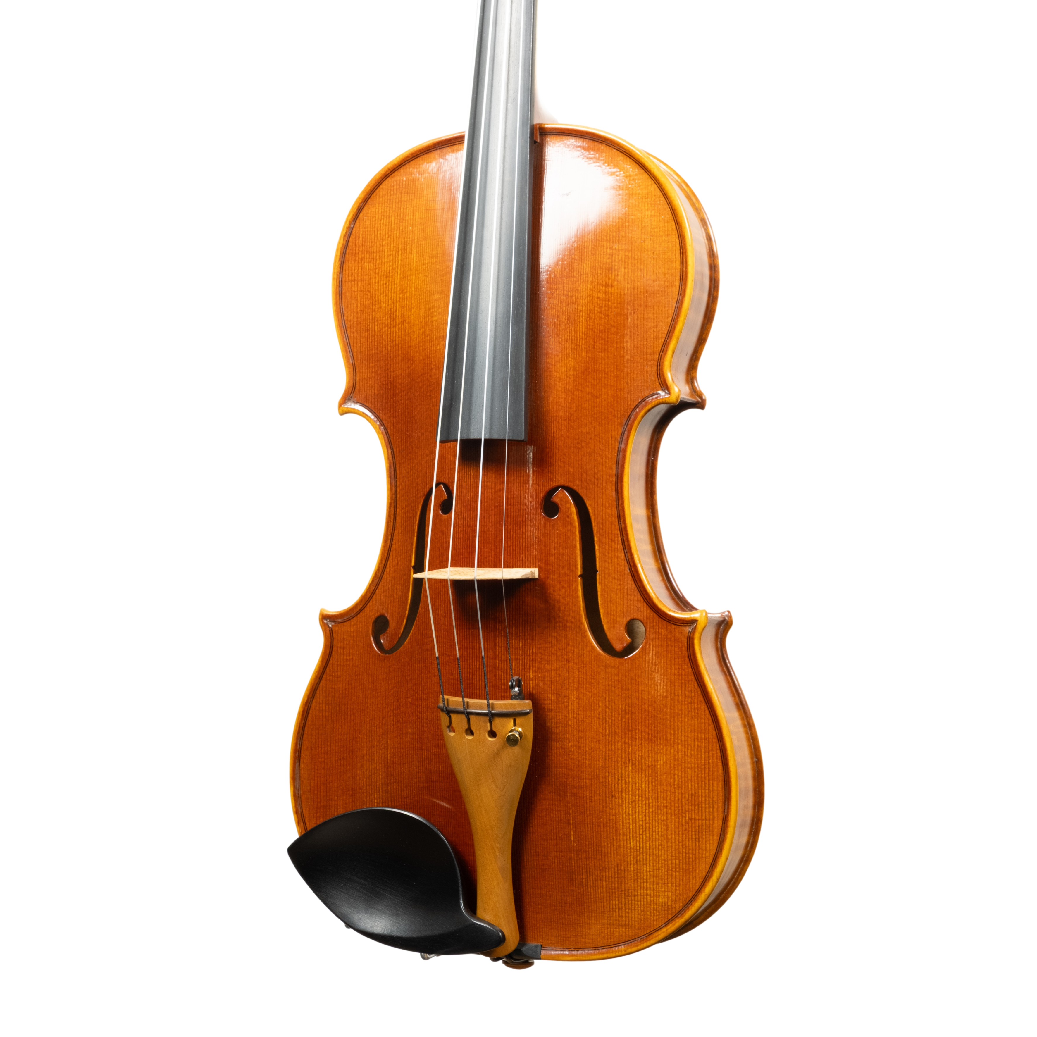 Violin - Linea Macchi, Guarneri "Lord Wilton" 2026 Avisio