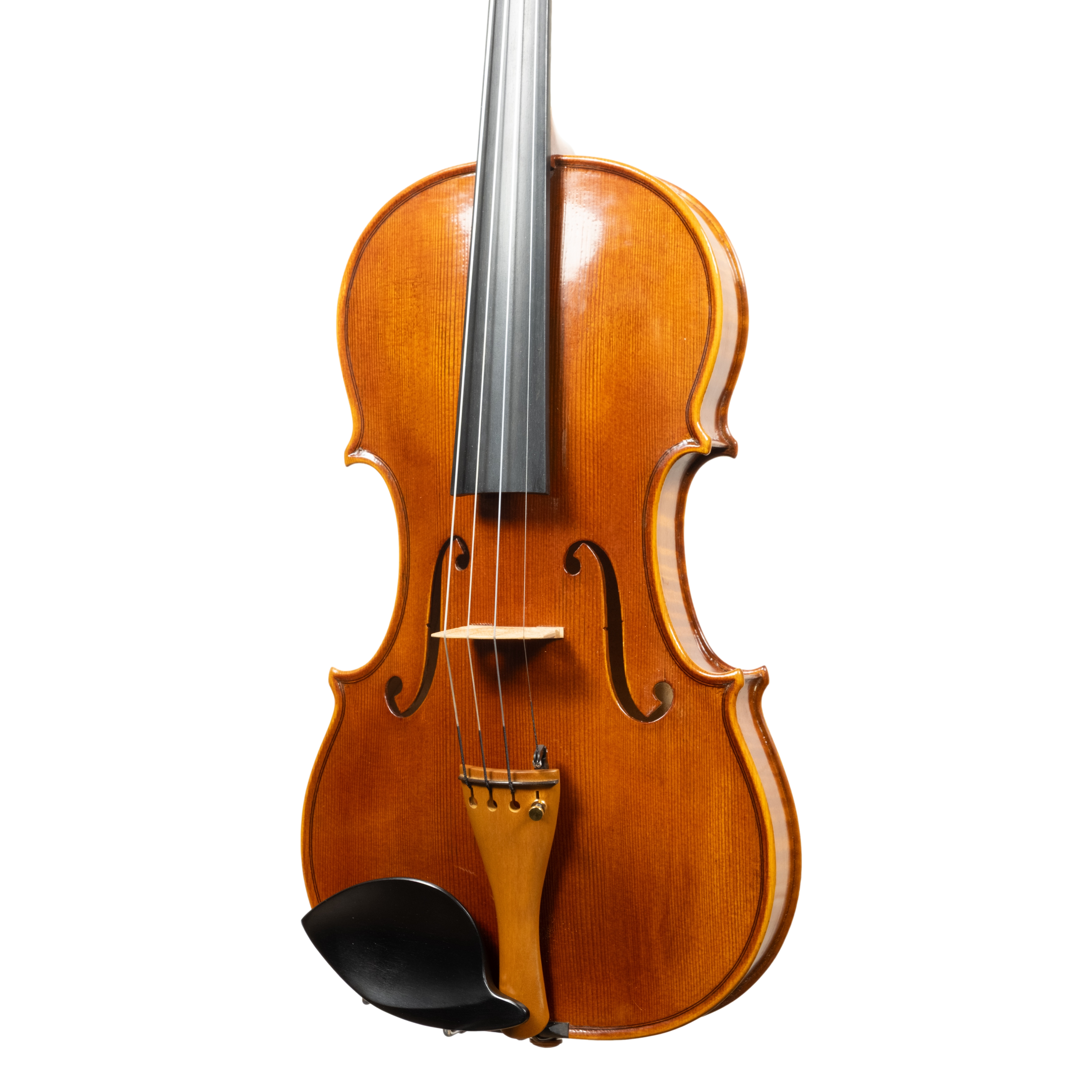 Violin - Linea Macchi, Guarneri "Lord Wilton" 2026 Fersina