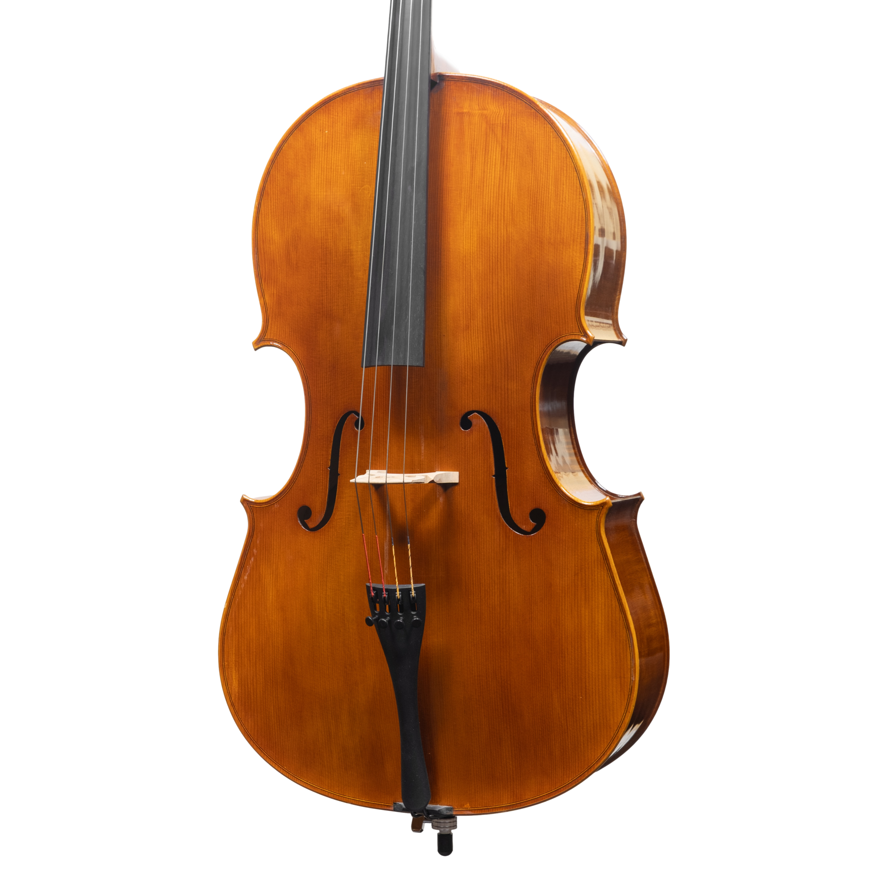 Cello - Scala Perfetta, Montagnana, Cremona 2025 "CERVATI"