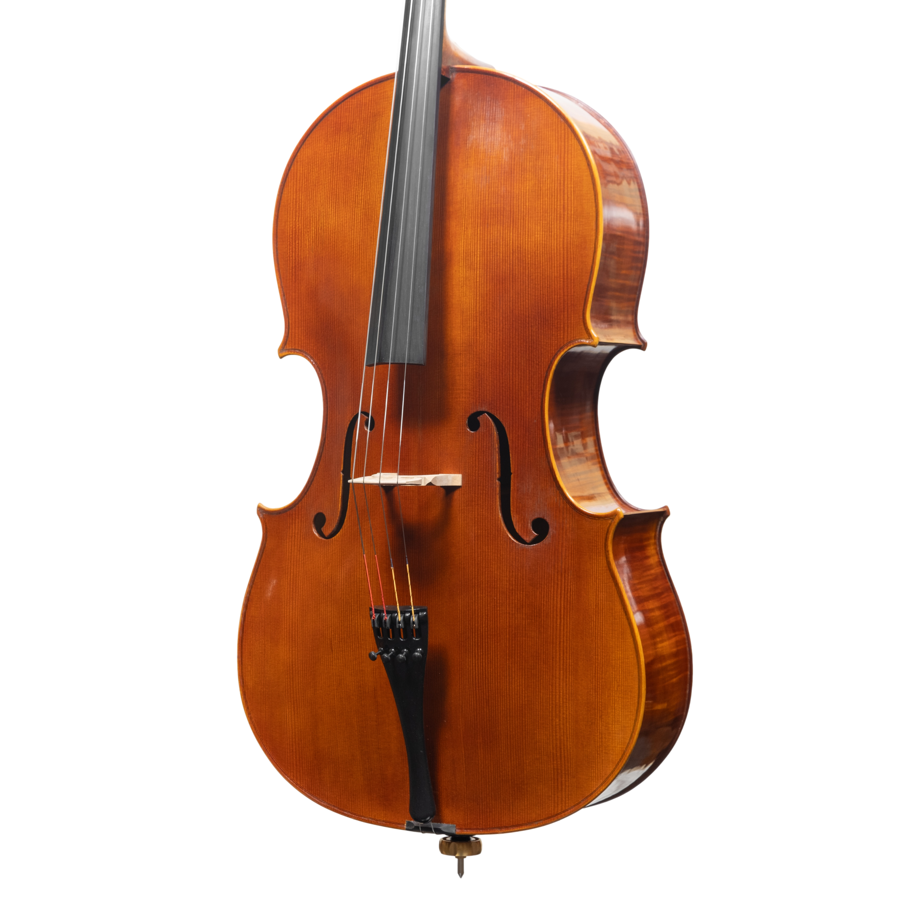 Cello - Linea Macchi, Domenico Montagnana "Sleeping Beauty", Cremona 2025 (1)