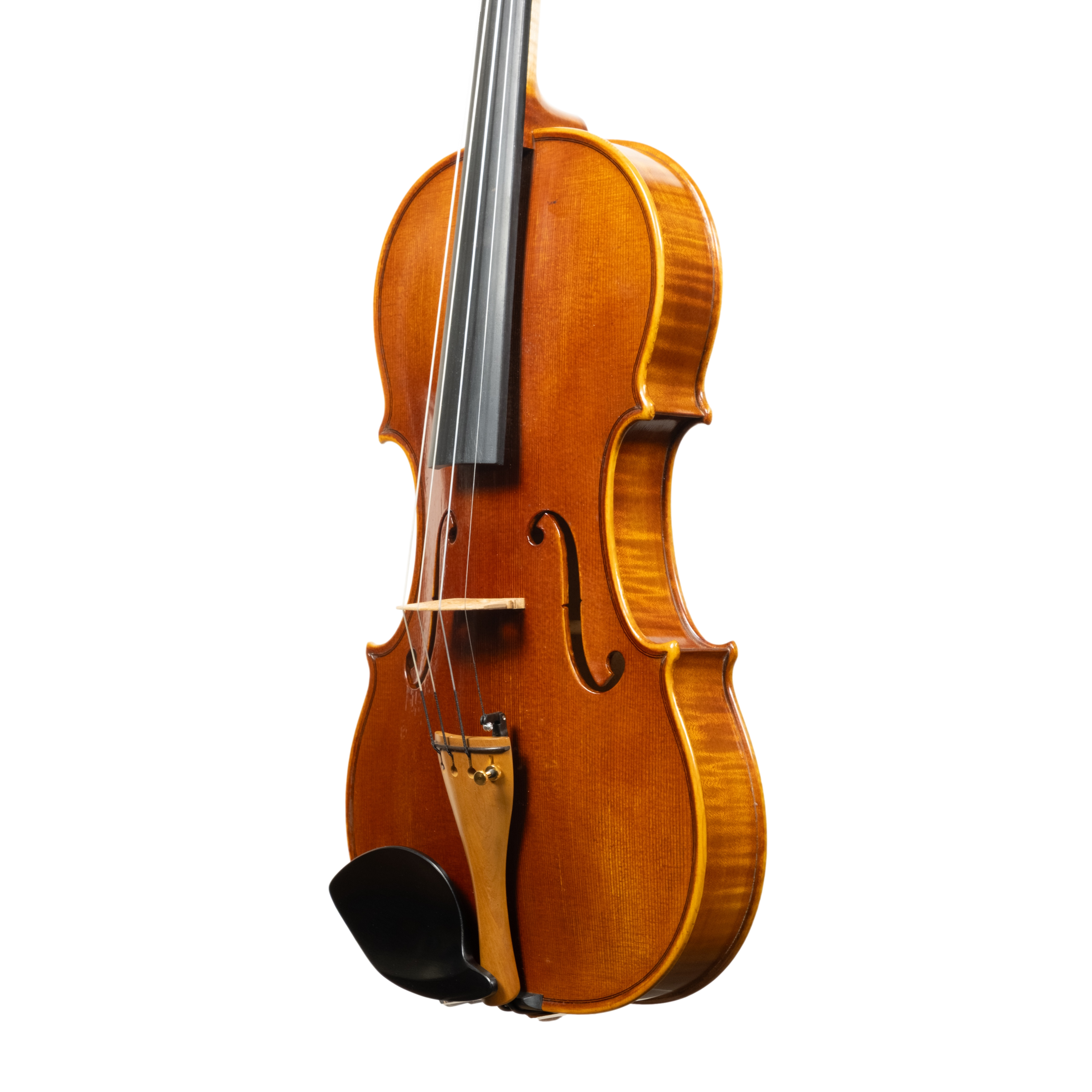 Violin - Linea Macchi, Guarneri "Lord Wilton" 2026 Avisio