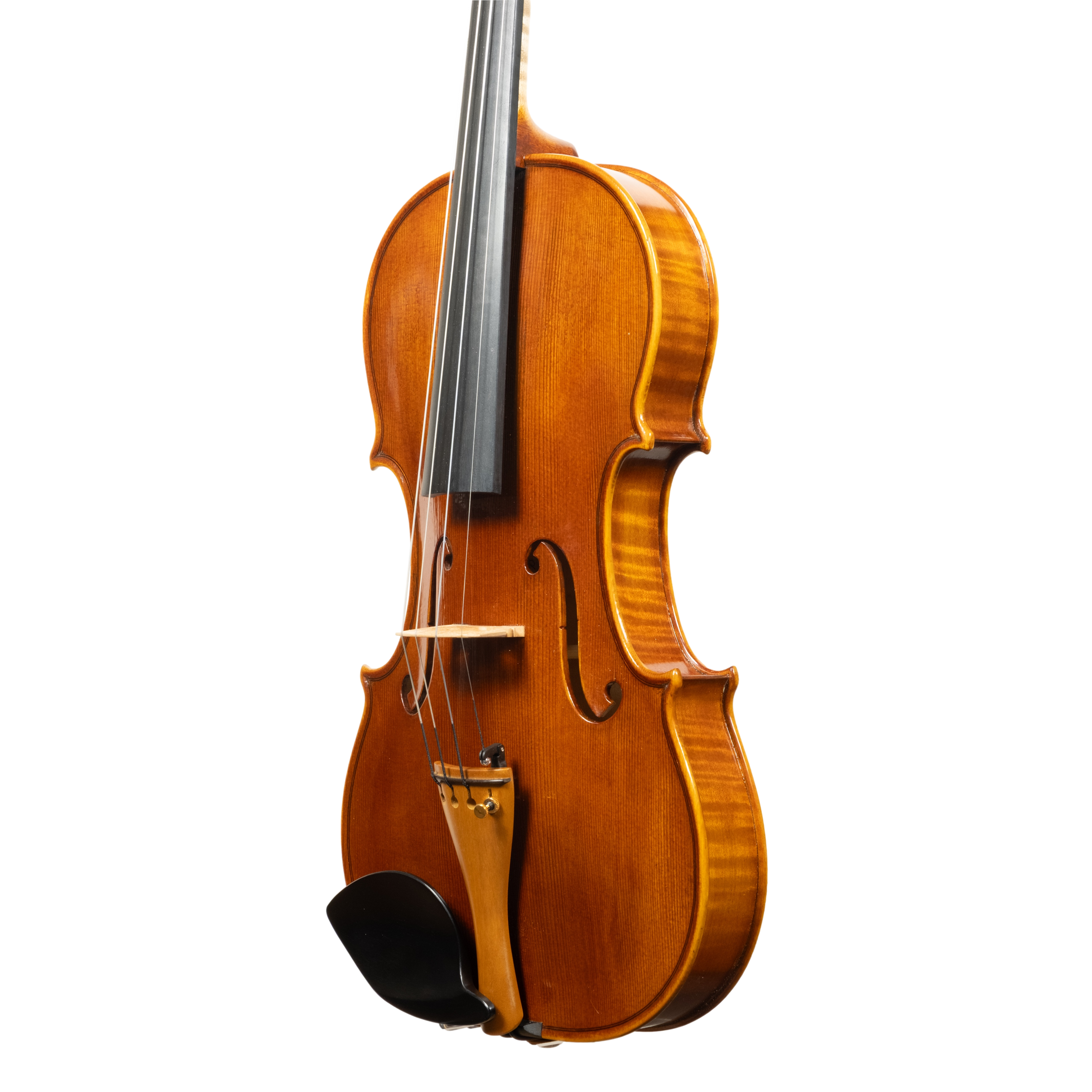 Violin - Linea Macchi, Guarneri "Lord Wilton" 2026 Fersina