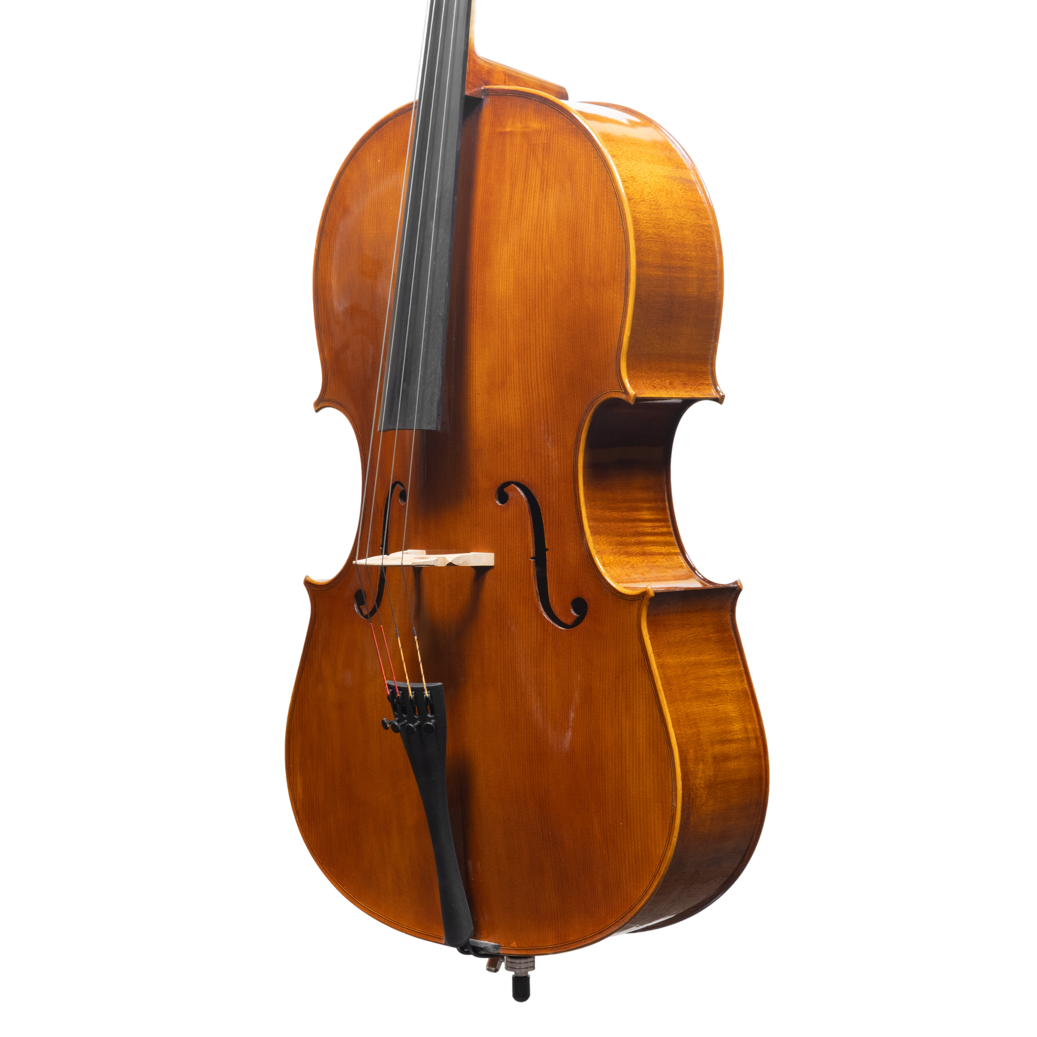 Cello - Scala Perfetta, Montagnana, Cremona 2025 "CERVATI"