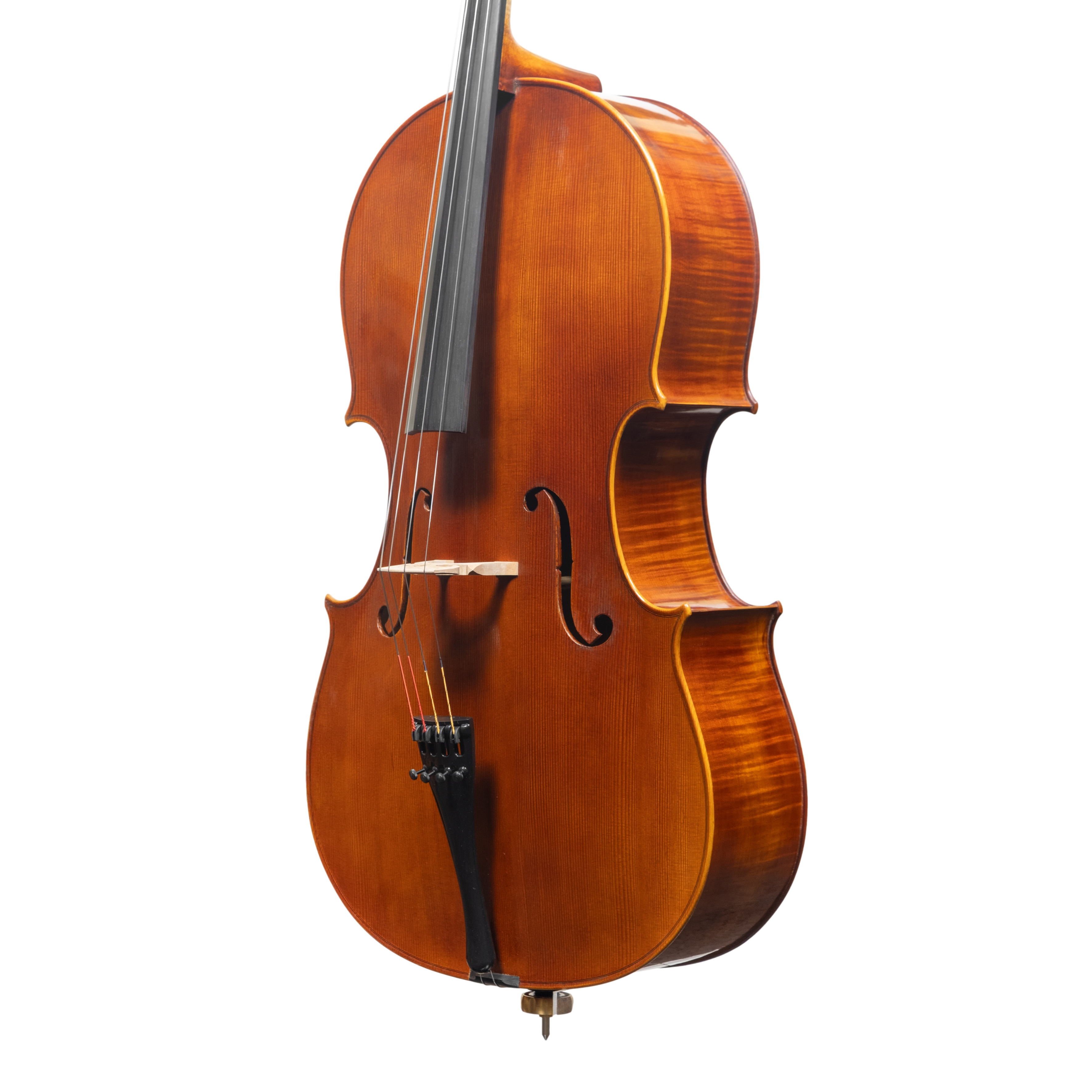 Cello - Linea Macchi, Domenico Montagnana "Sleeping Beauty", Cremona 2025 (1)
