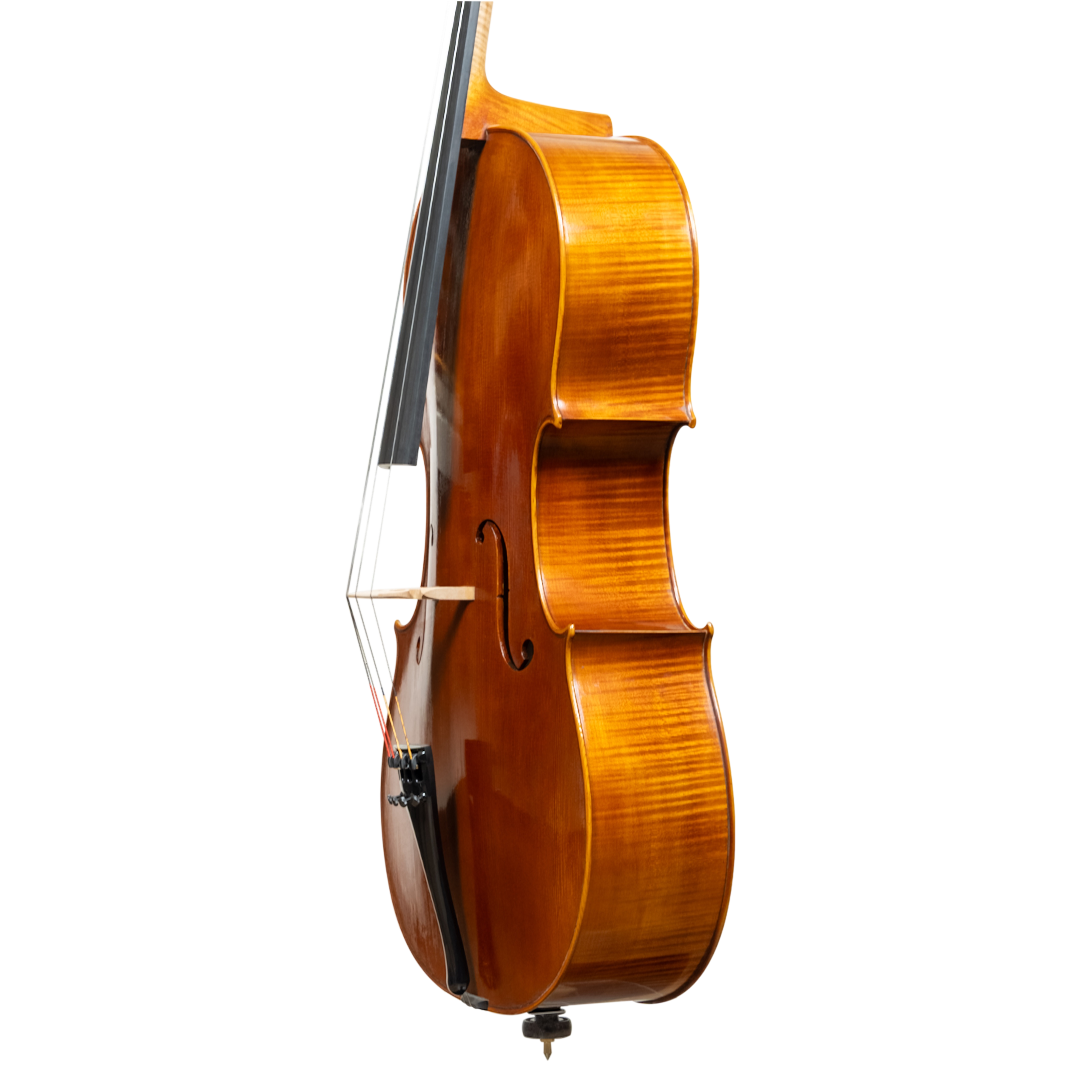 Cello - Linea Macchi, Stradivari "Gore Booth", Cremona 2026