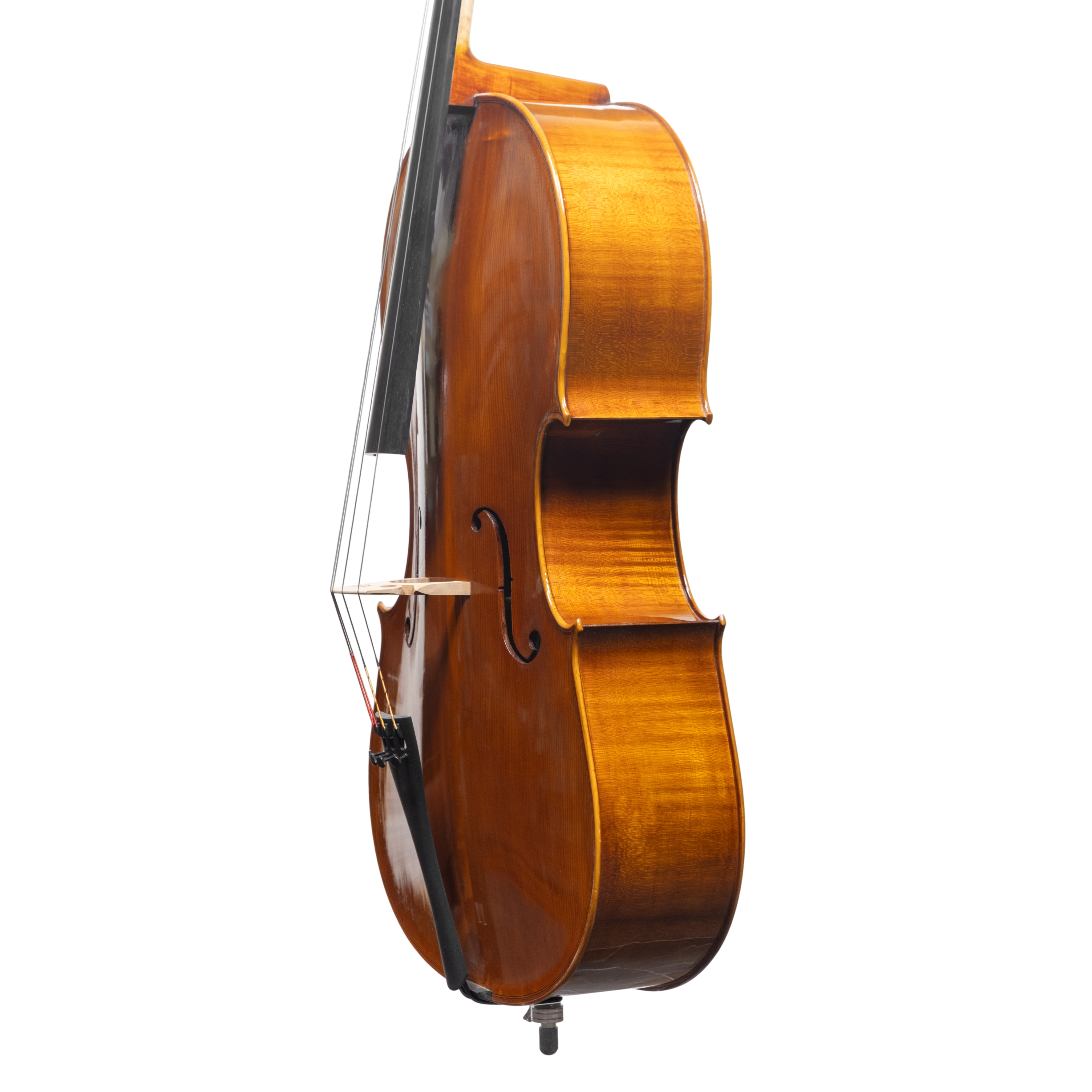 Cello - Scala Perfetta, Montagnana, Cremona 2025 "CERVATI"