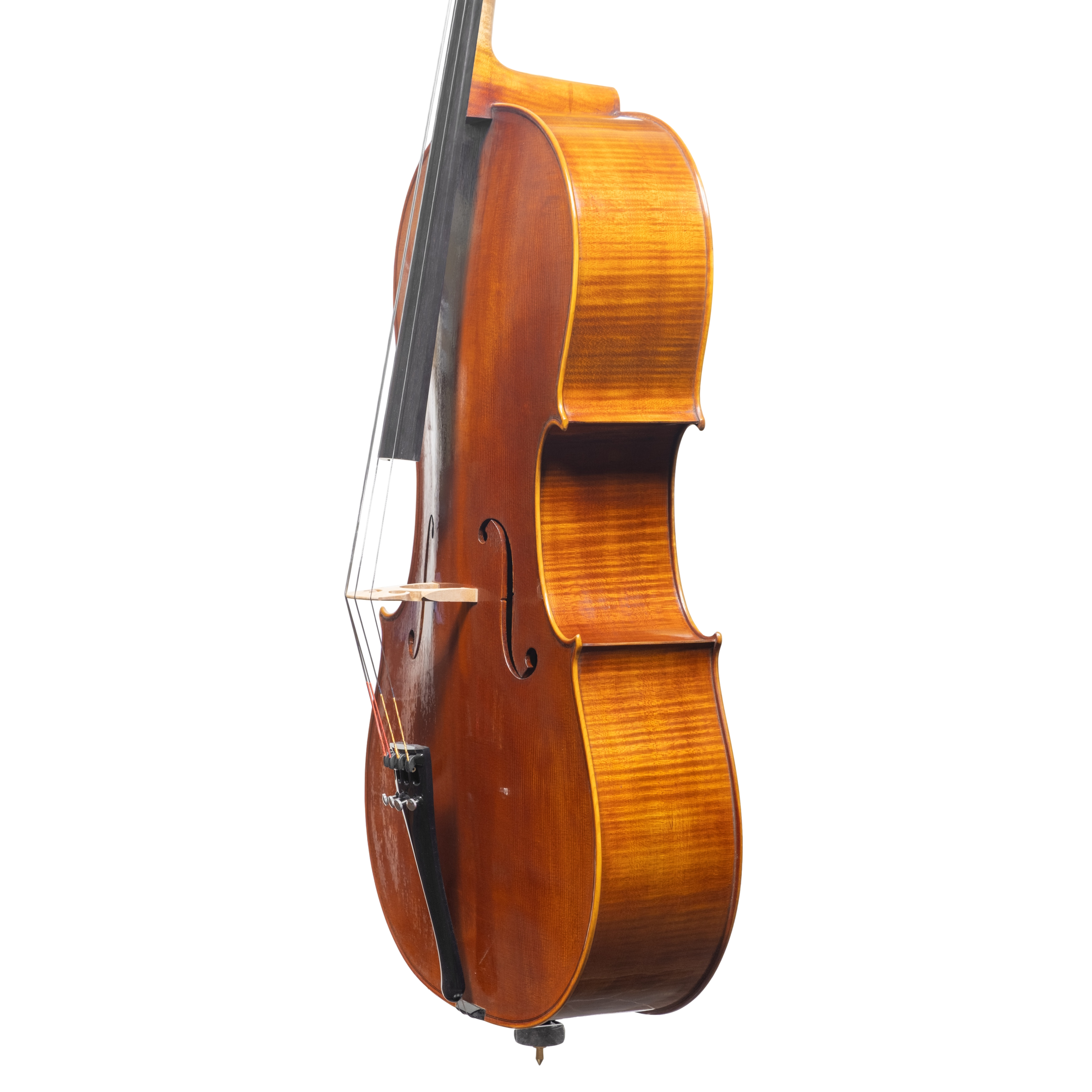 Cello - Stefano Guerreschi, mod. Stradivari "Gore Booth", Cremona 2025