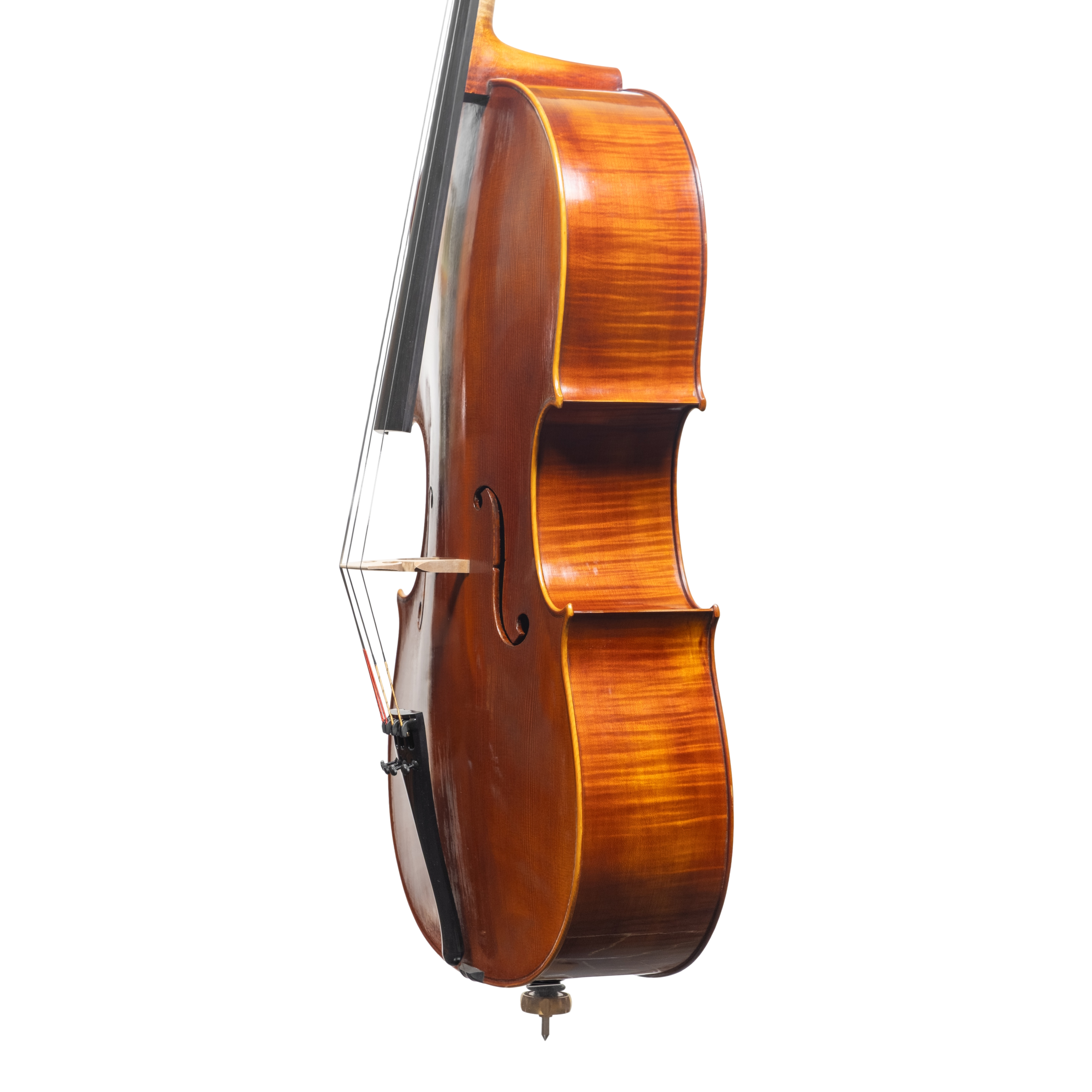 Cello - Linea Macchi, Domenico Montagnana "Sleeping Beauty", Cremona 2025 (1)