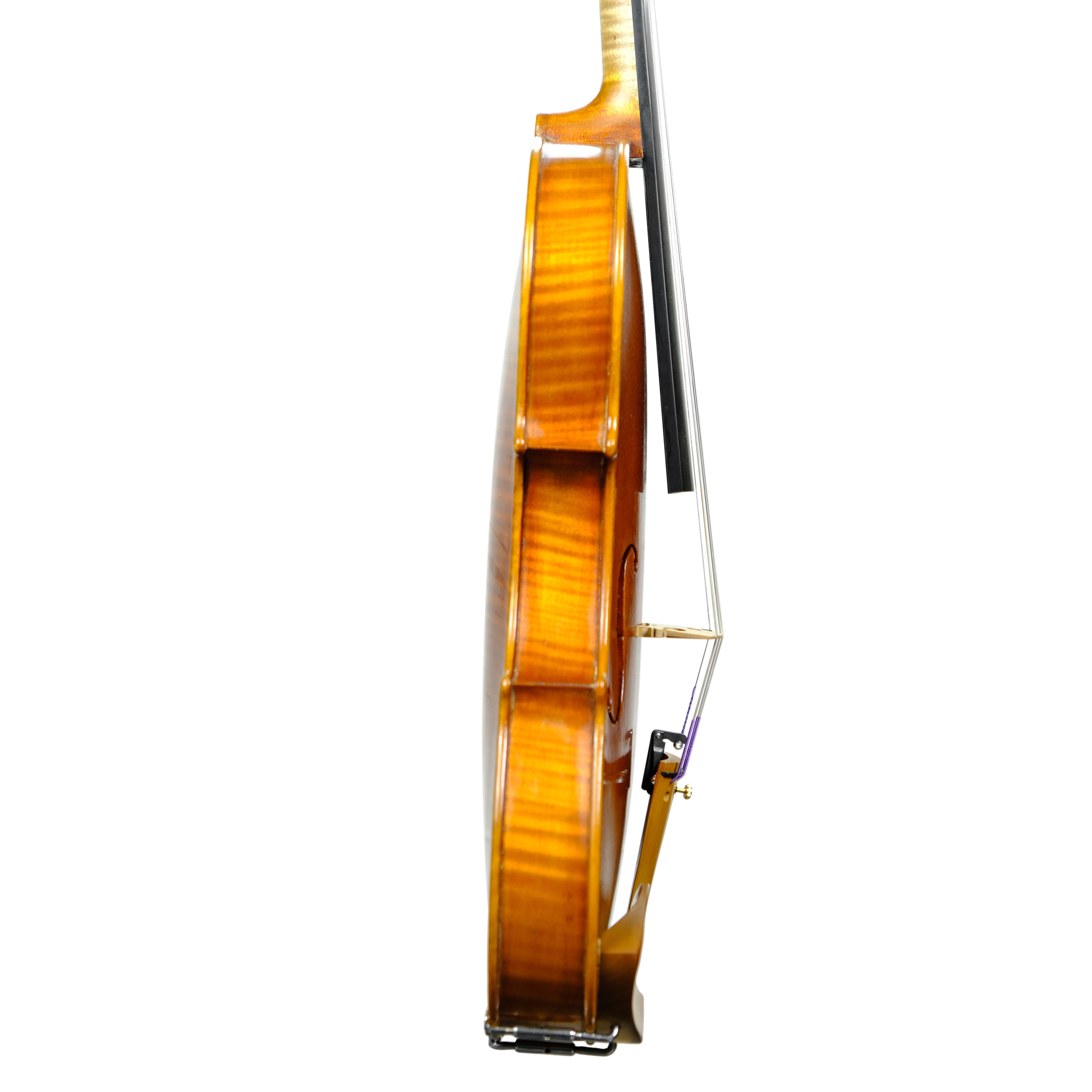 Violin - Linea Macchi, Stradivari Cremona 2024 A