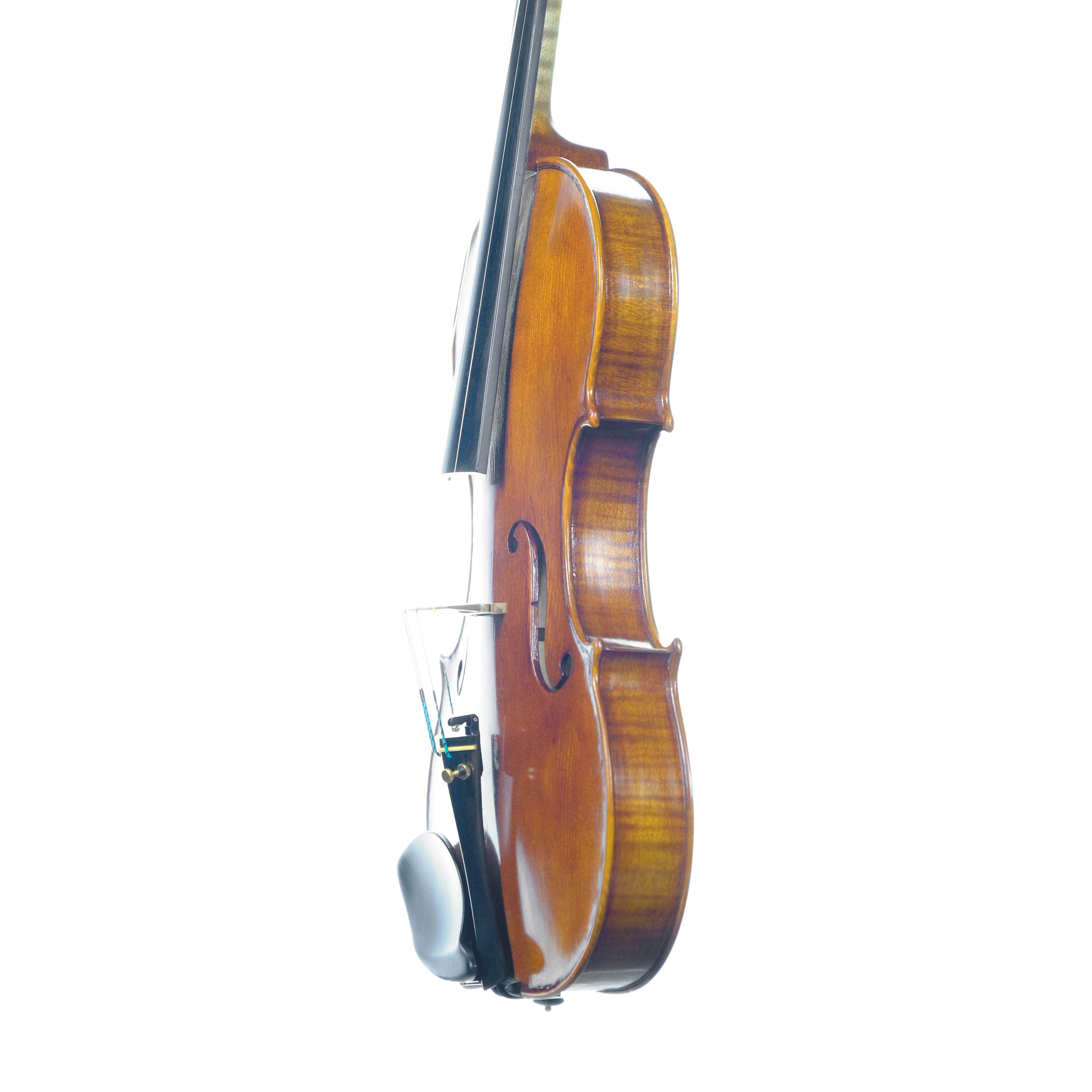 Violin - Enrico Bertoncini, Guarneri, Cremona 2024