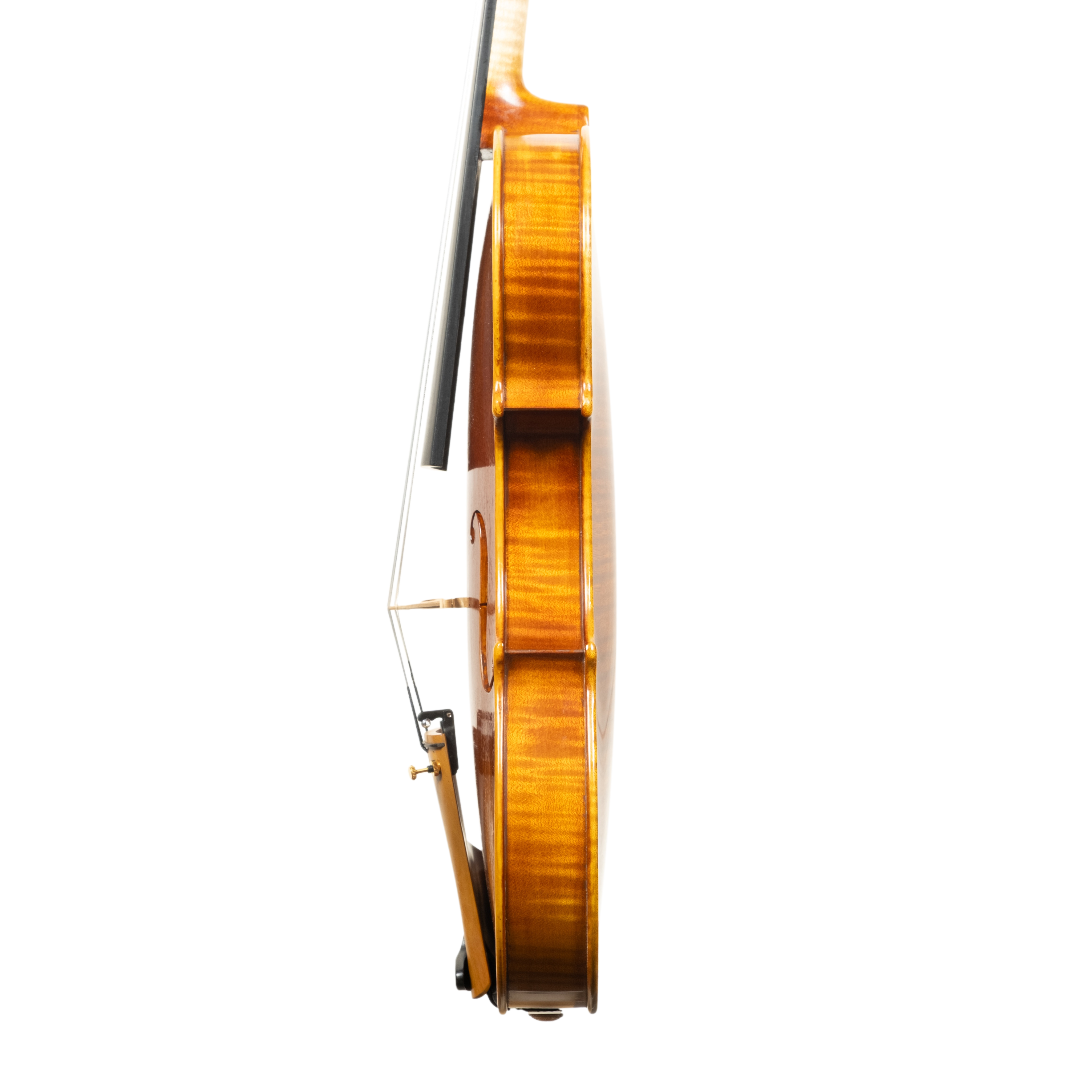 Violin - Linea Macchi, Guarneri "Lord Wilton" 2026 Avisio