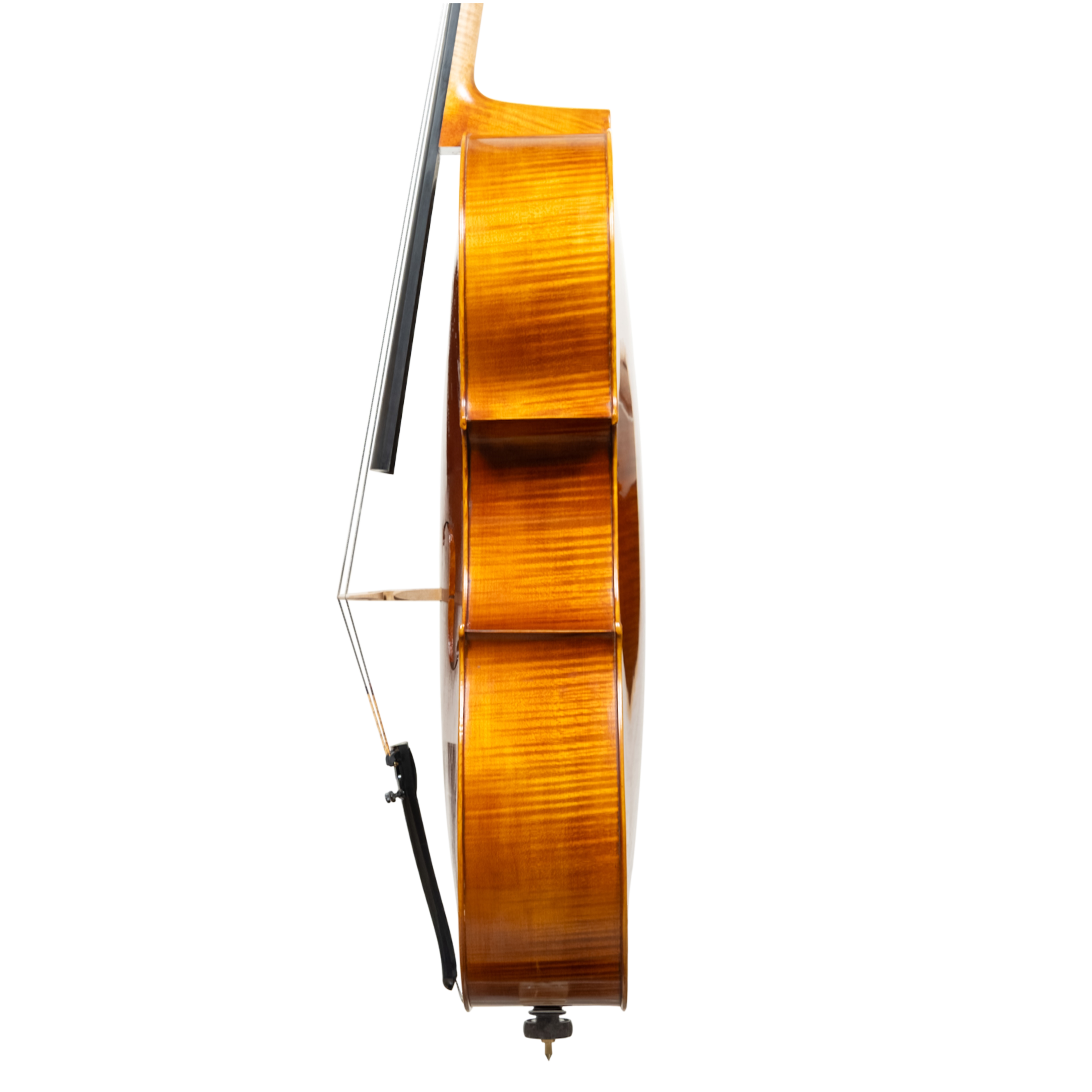 Cello - Linea Macchi, Stradivari "Gore Booth", Cremona 2026