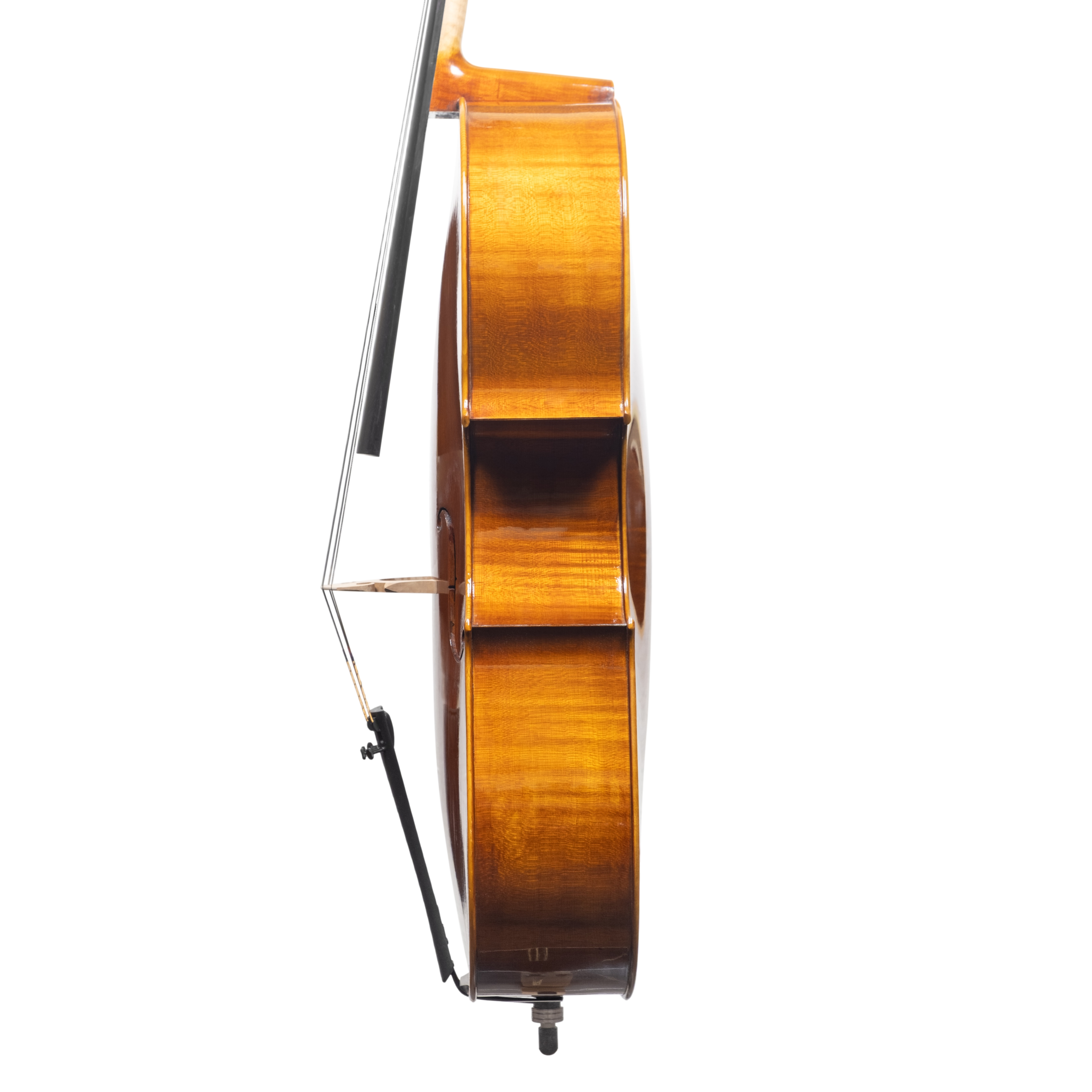 Cello - Scala Perfetta, Montagnana, Cremona 2025 "CERVATI"