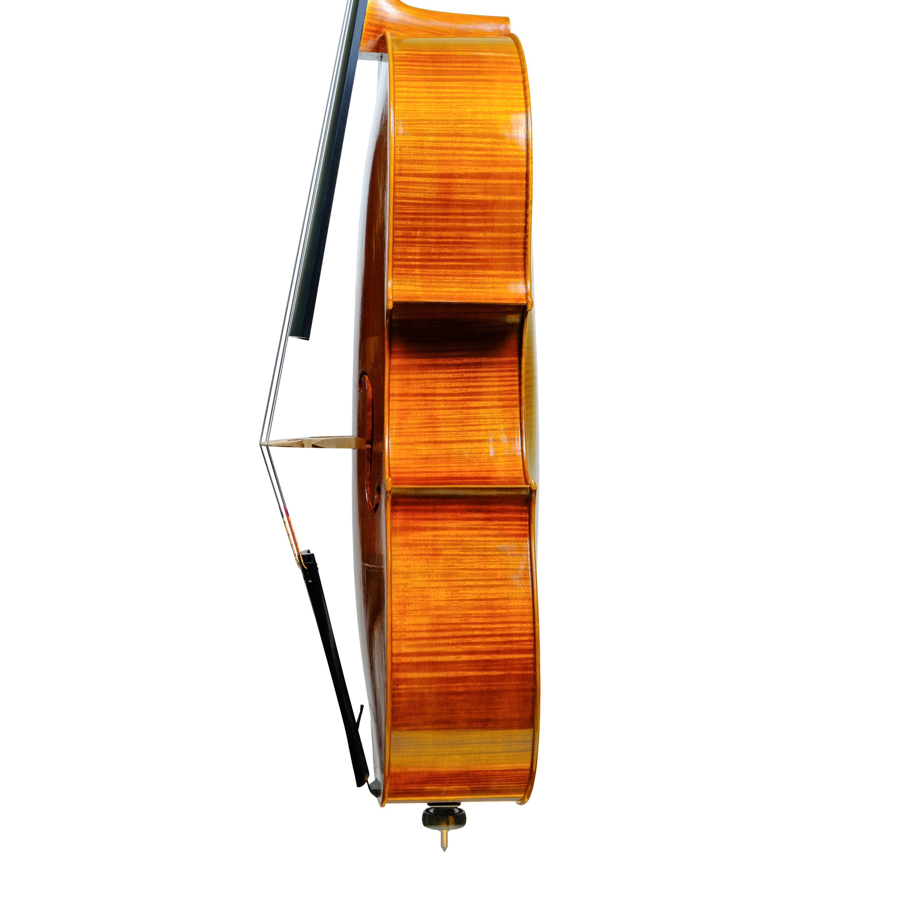 Cello - Linea Macchi 7/8, Montagnana, Cremona 2023