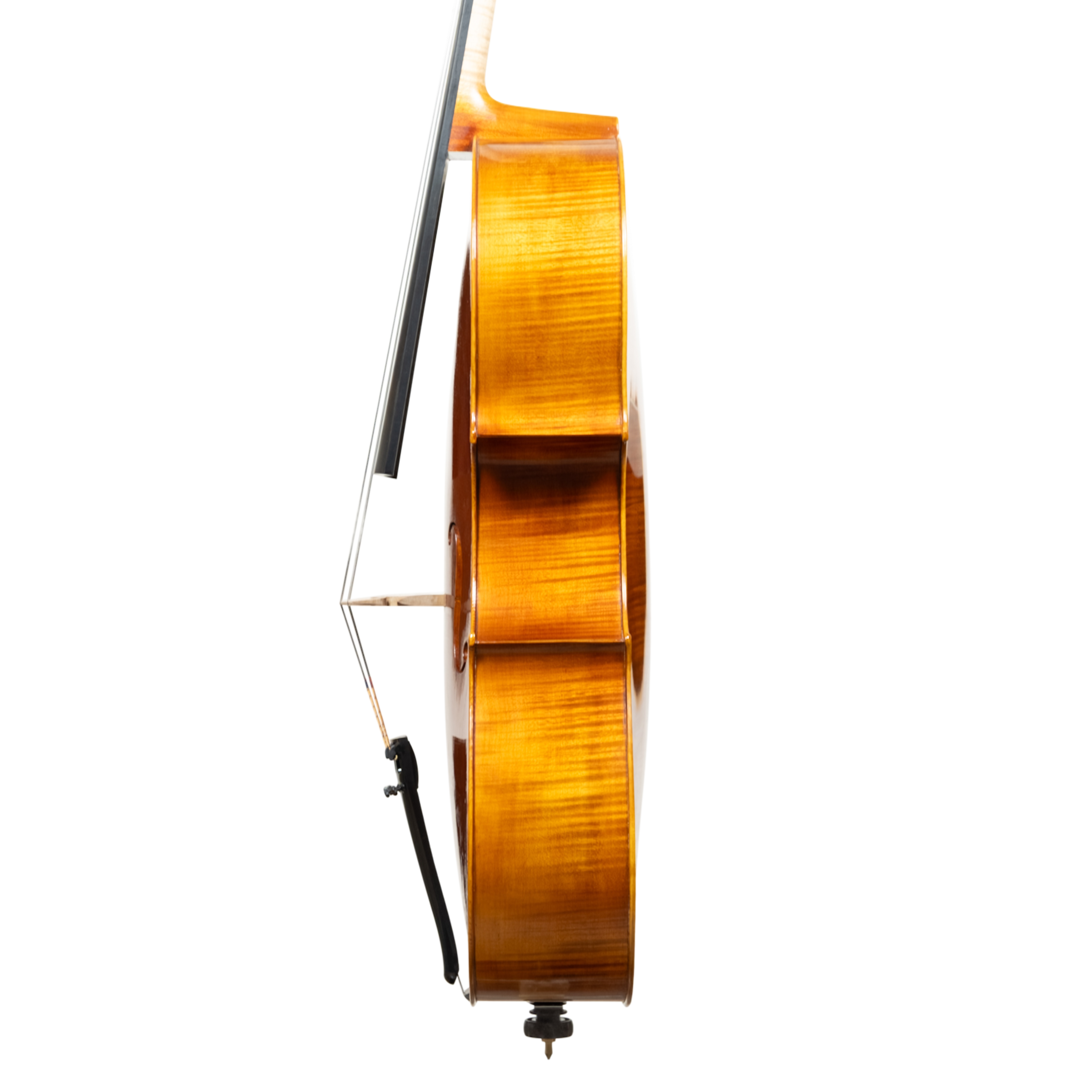Cello - Linea Macchi, Domenico Montagnana "Sleeping Beauty", Cremona 2026