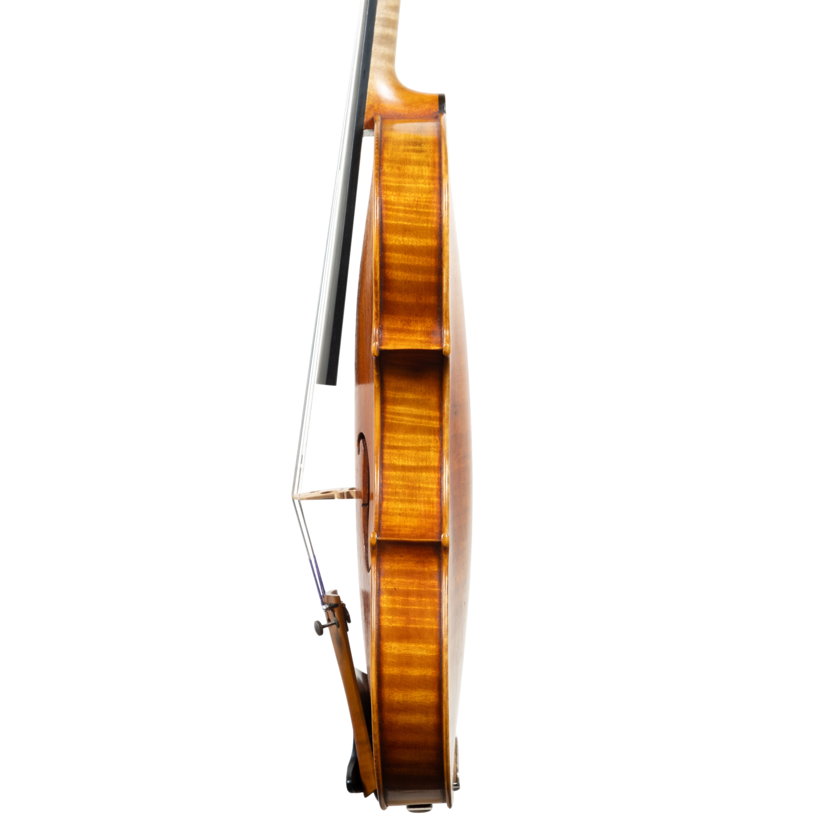 Violin - Mina Mazzolari, Copy of Guarneri del Gesú "Heifetz", Cremona 2026