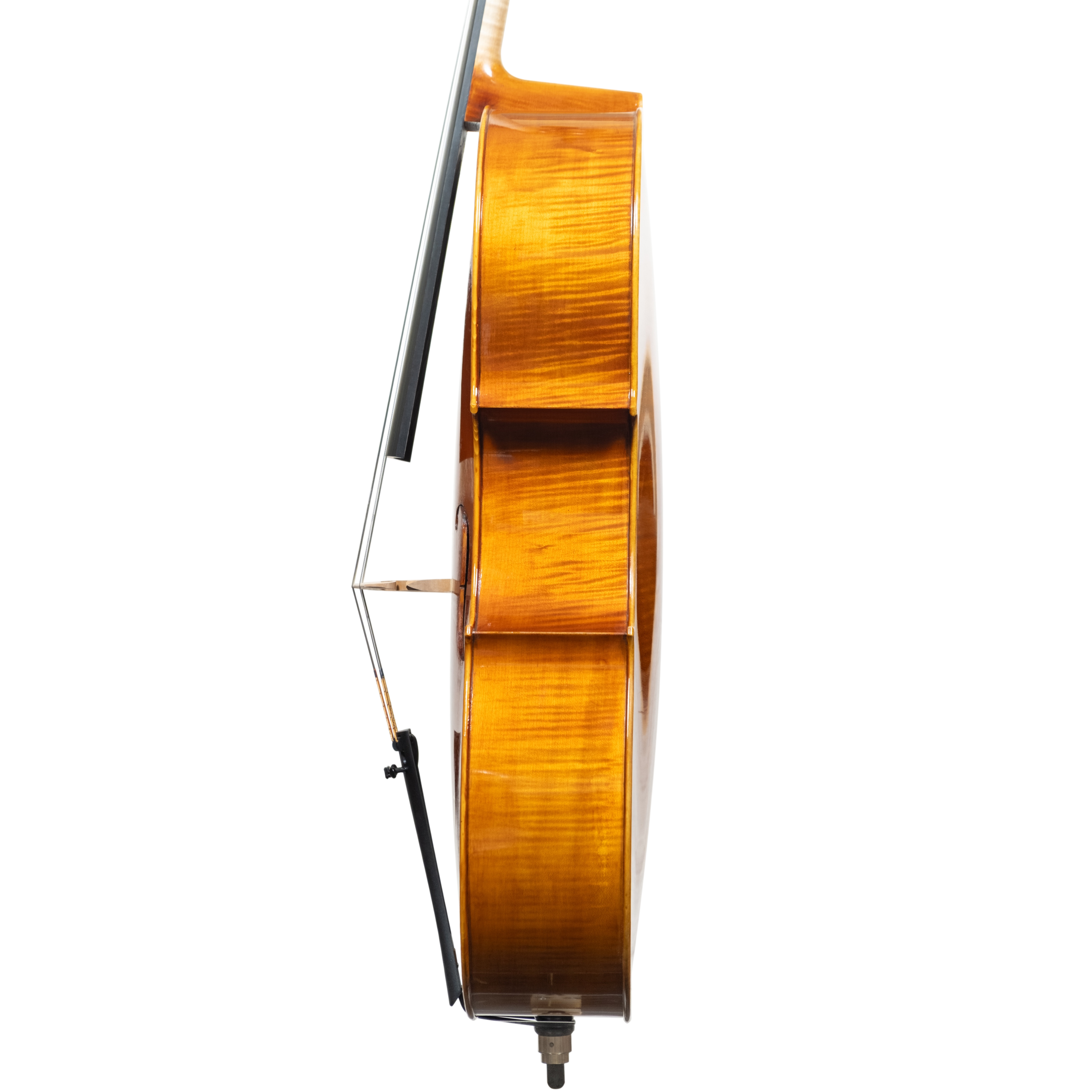 Cello - Scala Perfetta, Stradivari, Cremona 2025 "CEVEDALE"