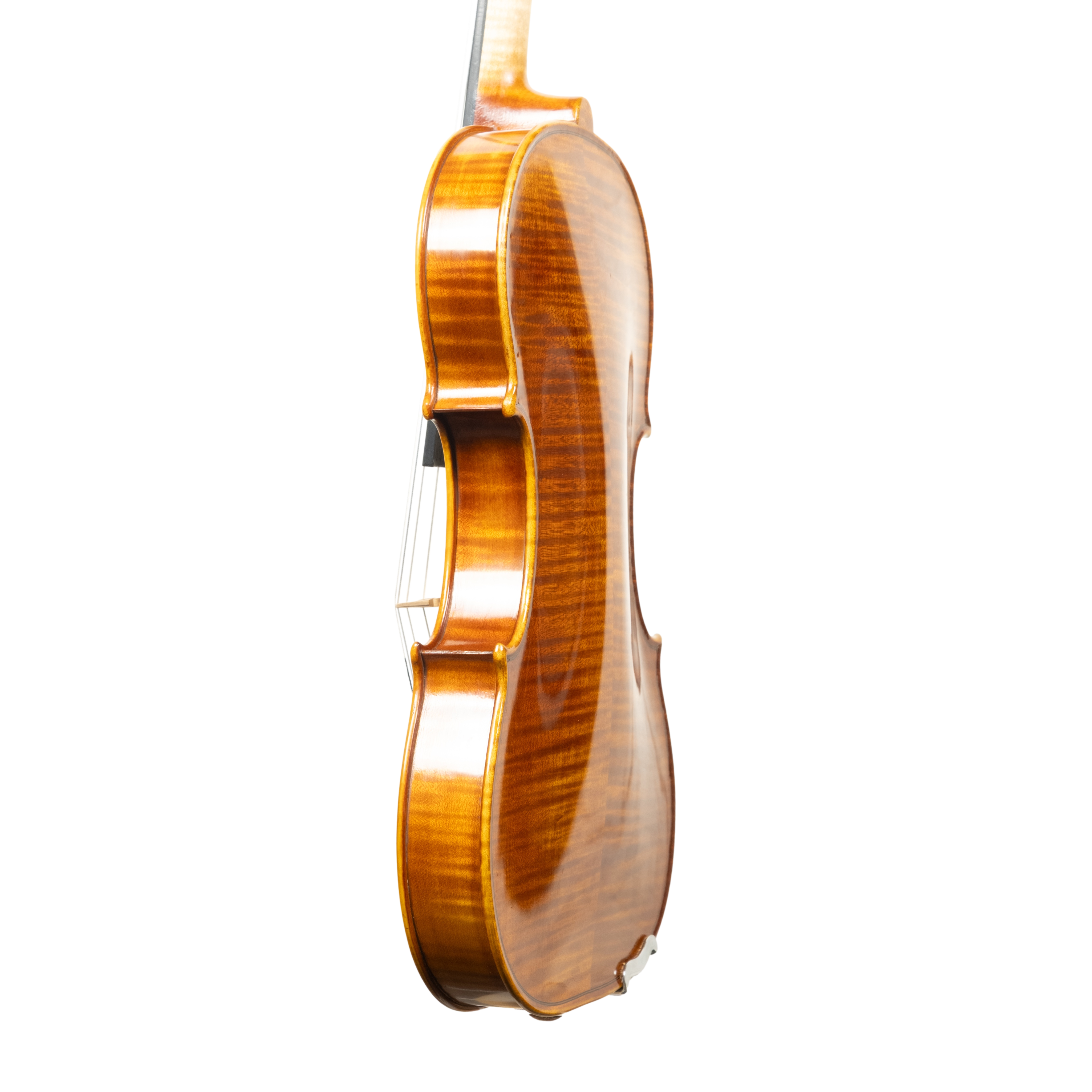 Violin - Linea Macchi, Guarneri "Lord Wilton" 2026 Avisio