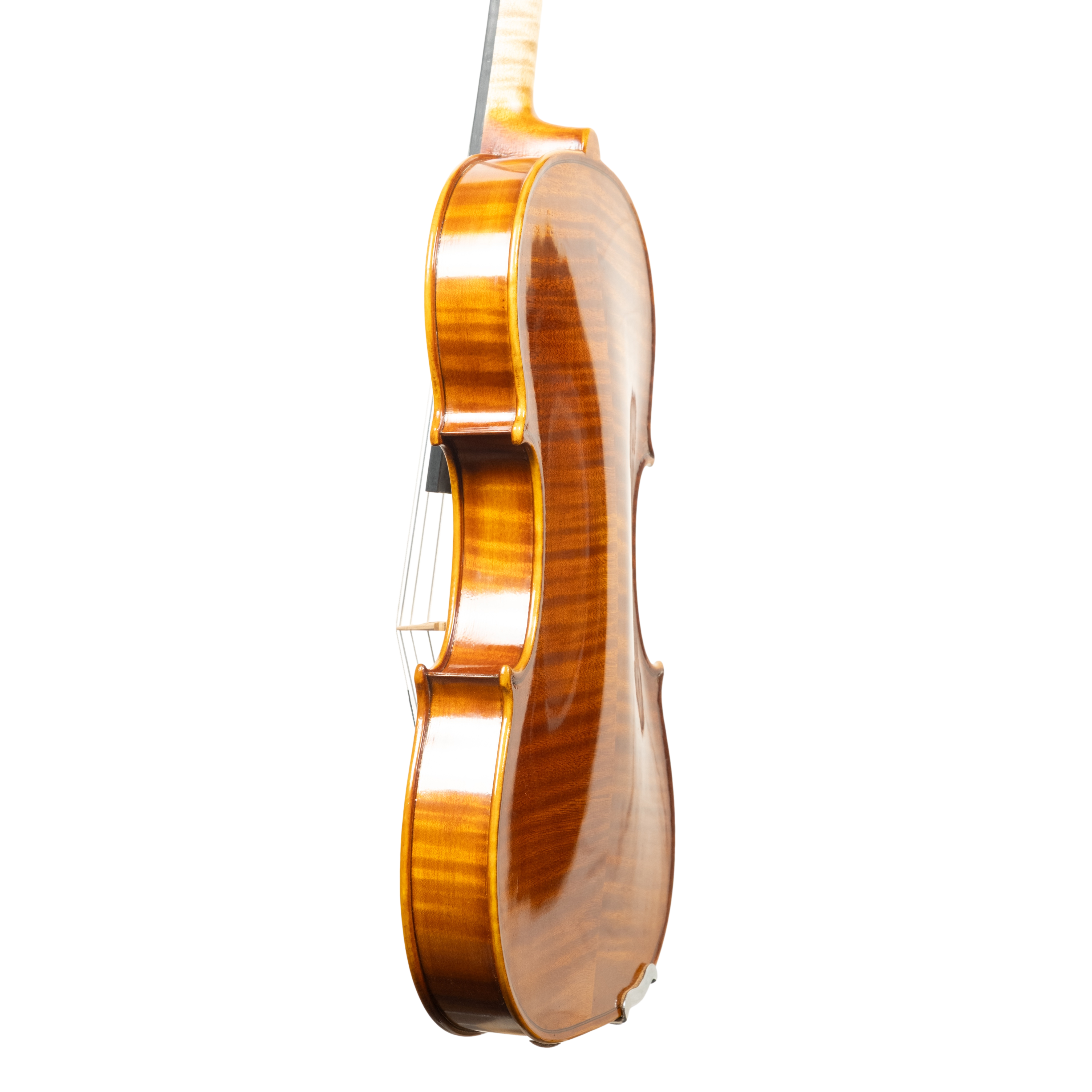 Violin - Linea Macchi, Guarneri "Lord Wilton" 2026 Fersina