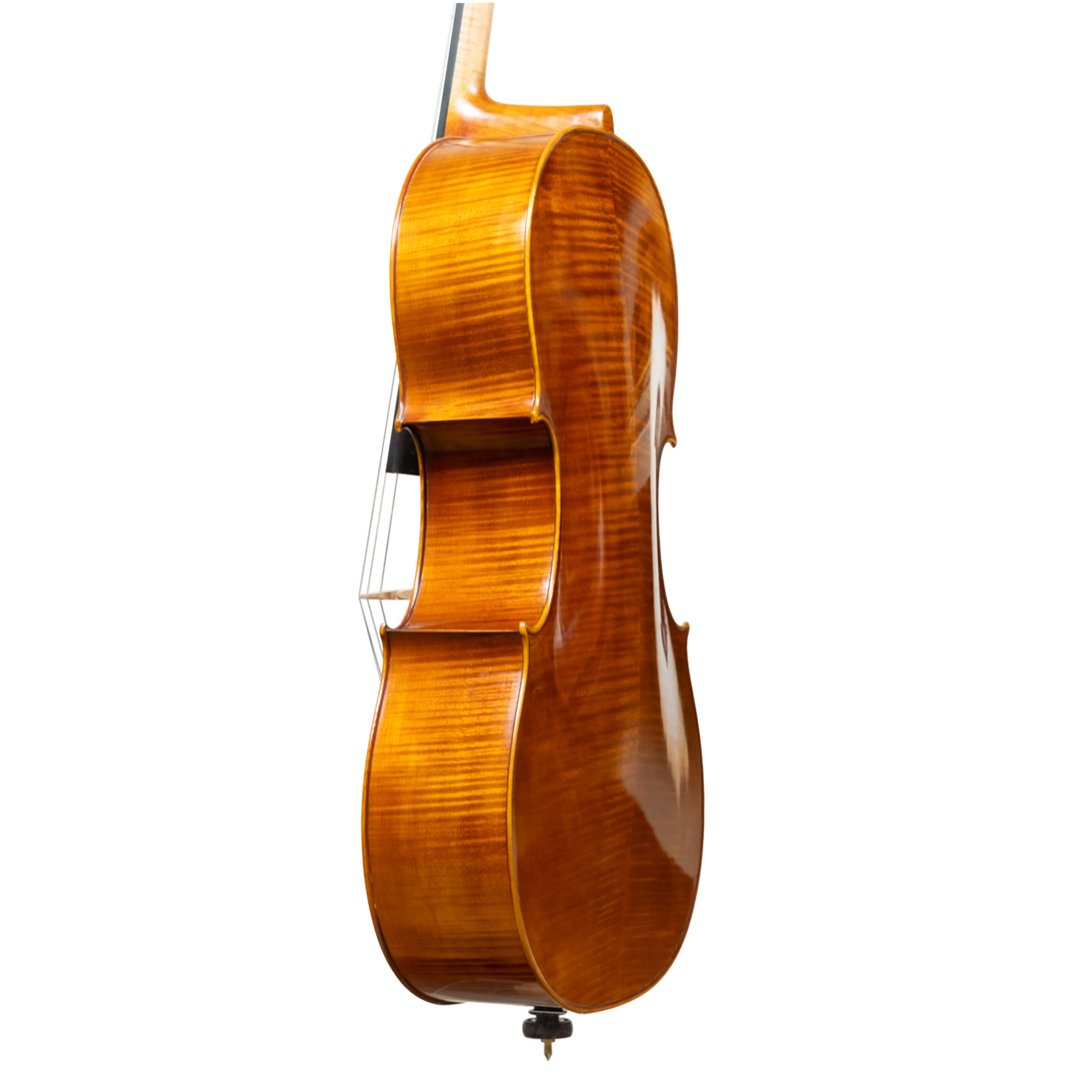 Cello - Linea Macchi, Stradivari "Gore Booth", Cremona 2026