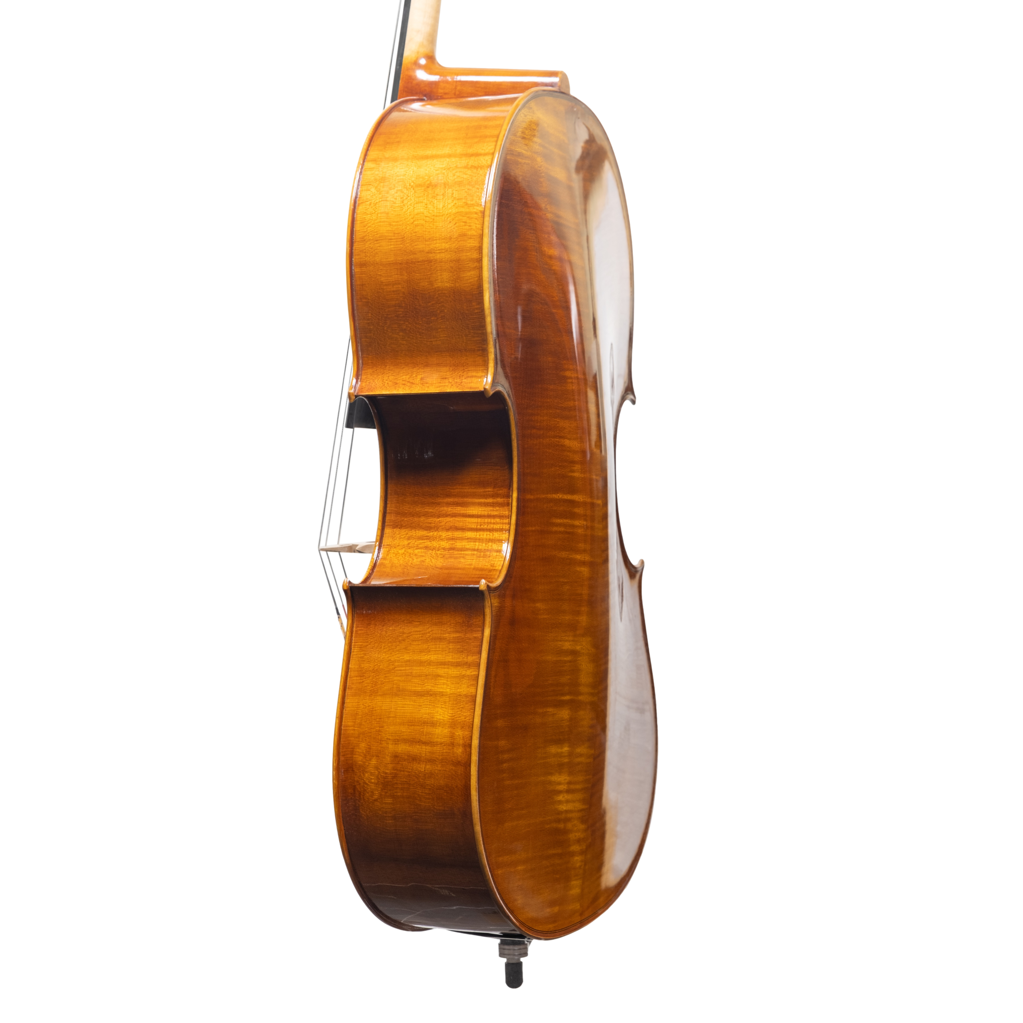 Cello - Scala Perfetta, Montagnana, Cremona 2025 "CERVATI"