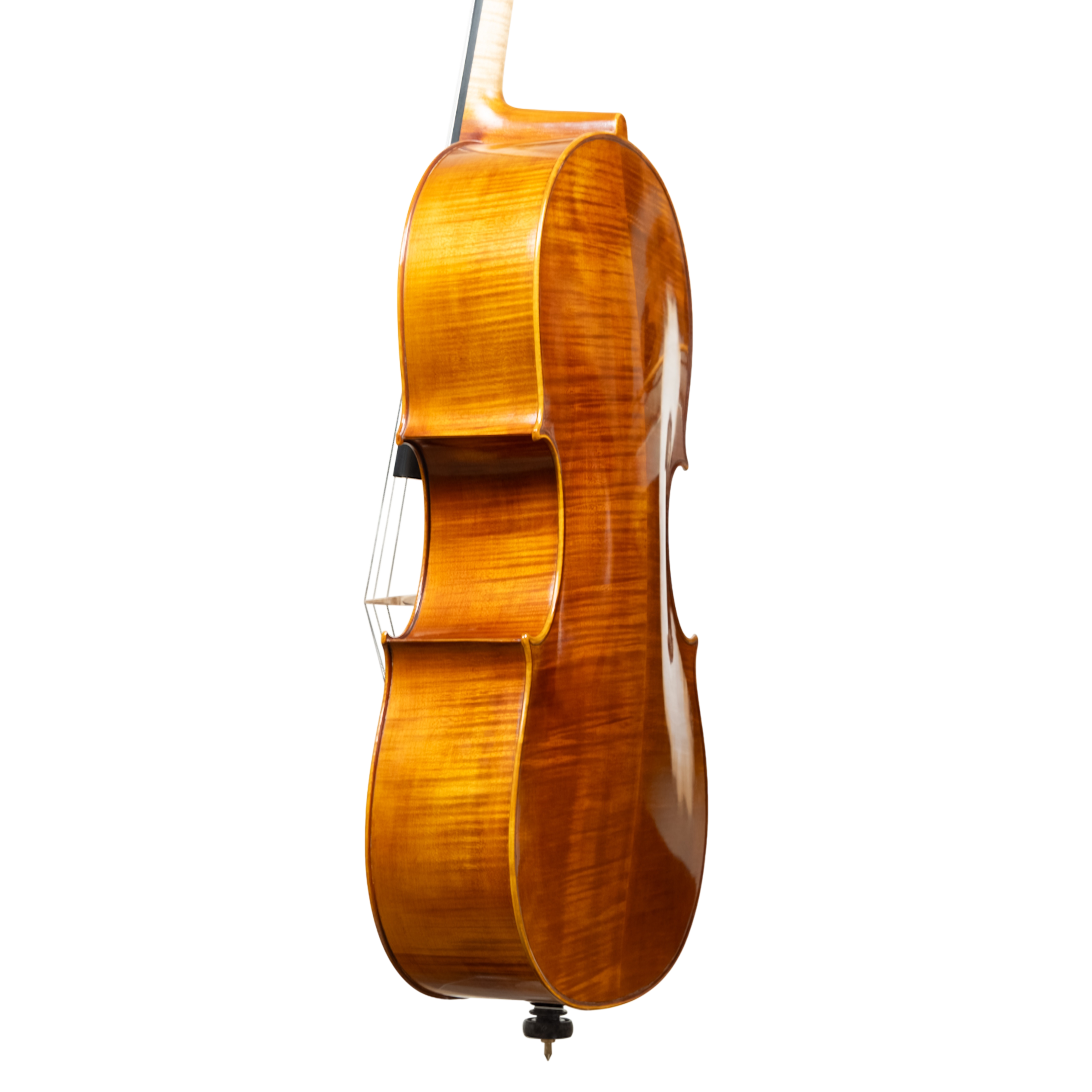 Cello - Linea Macchi, Domenico Montagnana "Sleeping Beauty", Cremona 2026