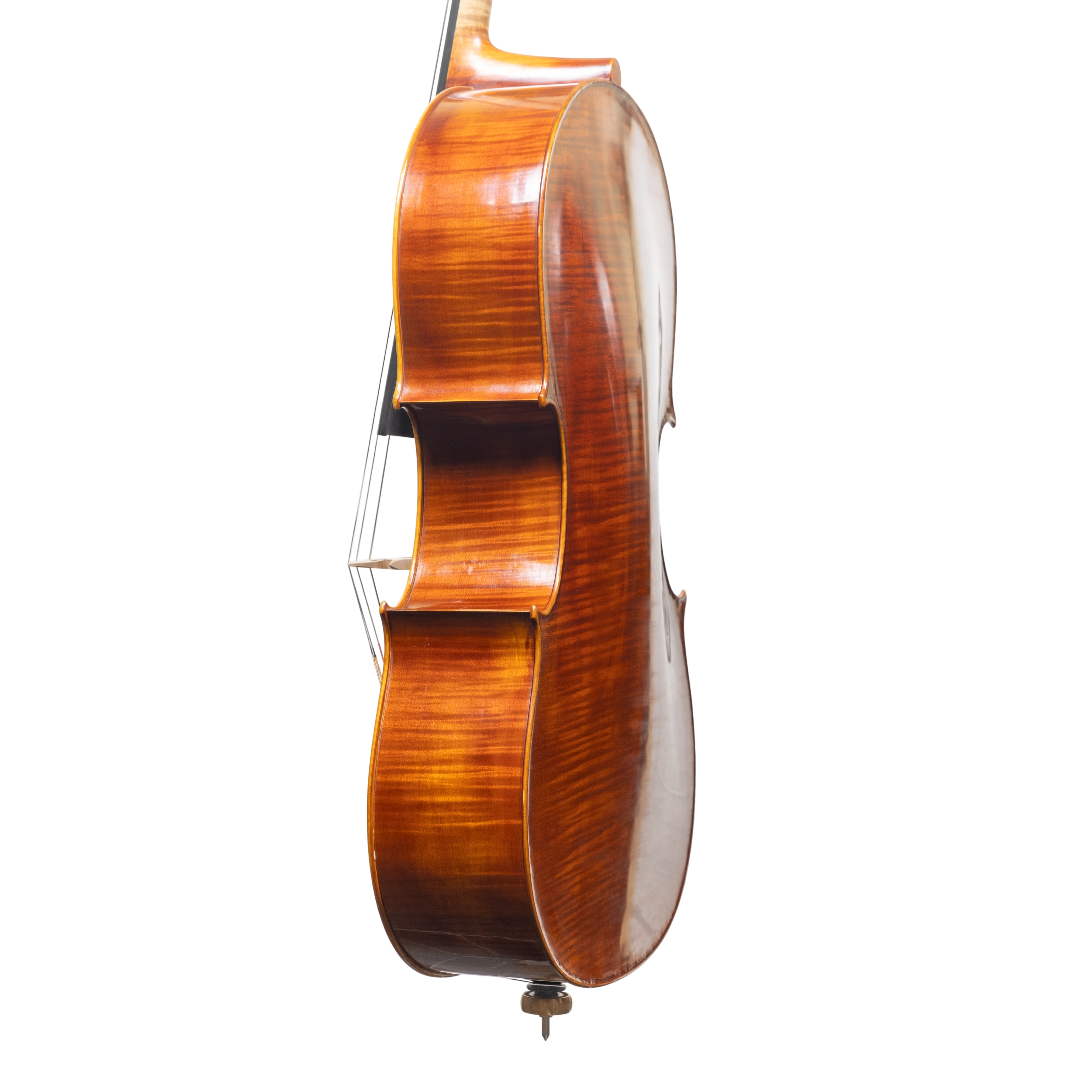 Cello - Linea Macchi, Domenico Montagnana "Sleeping Beauty", Cremona 2025 (1)