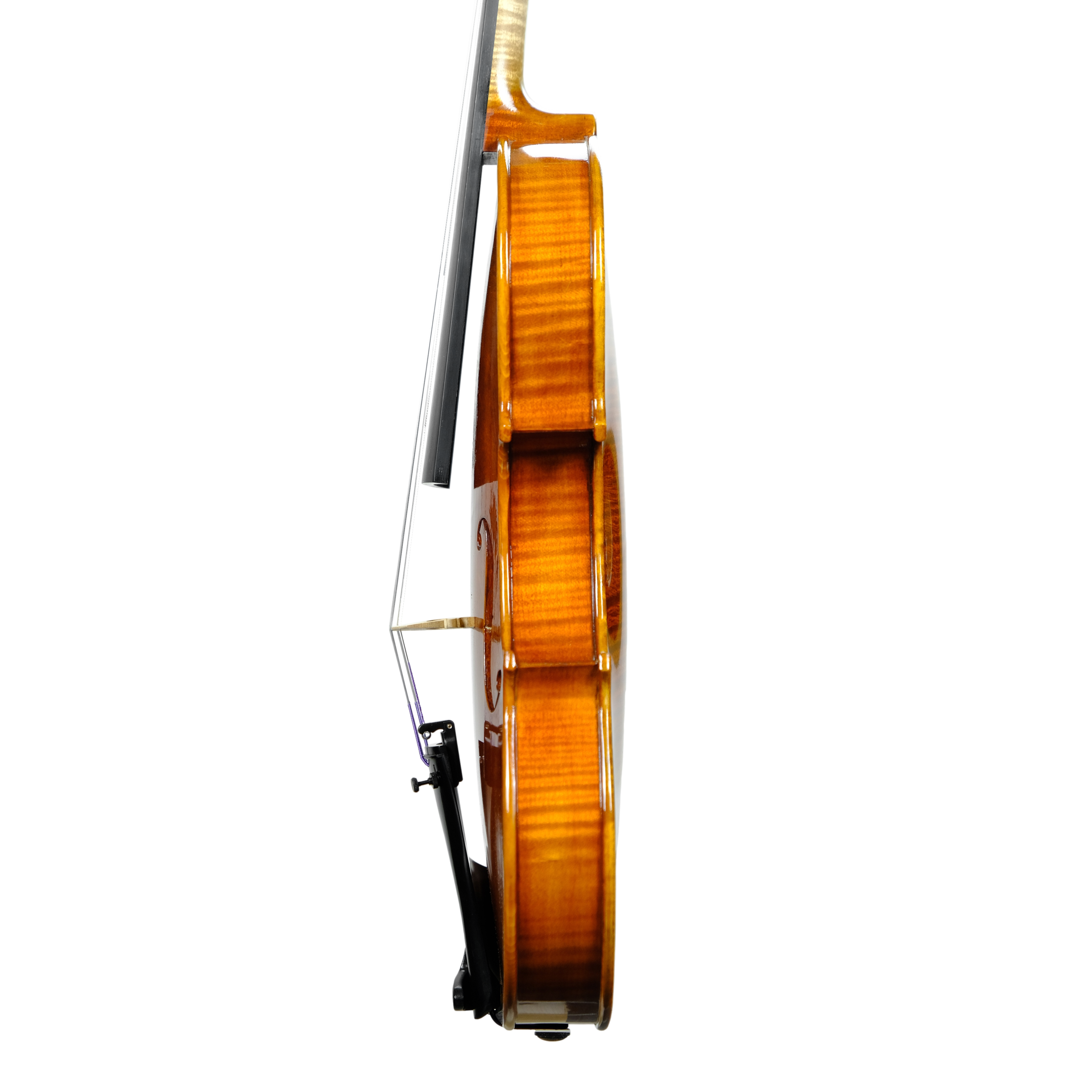 Violin - Scala Perfetta, Guarneri, Cremona 2024 D