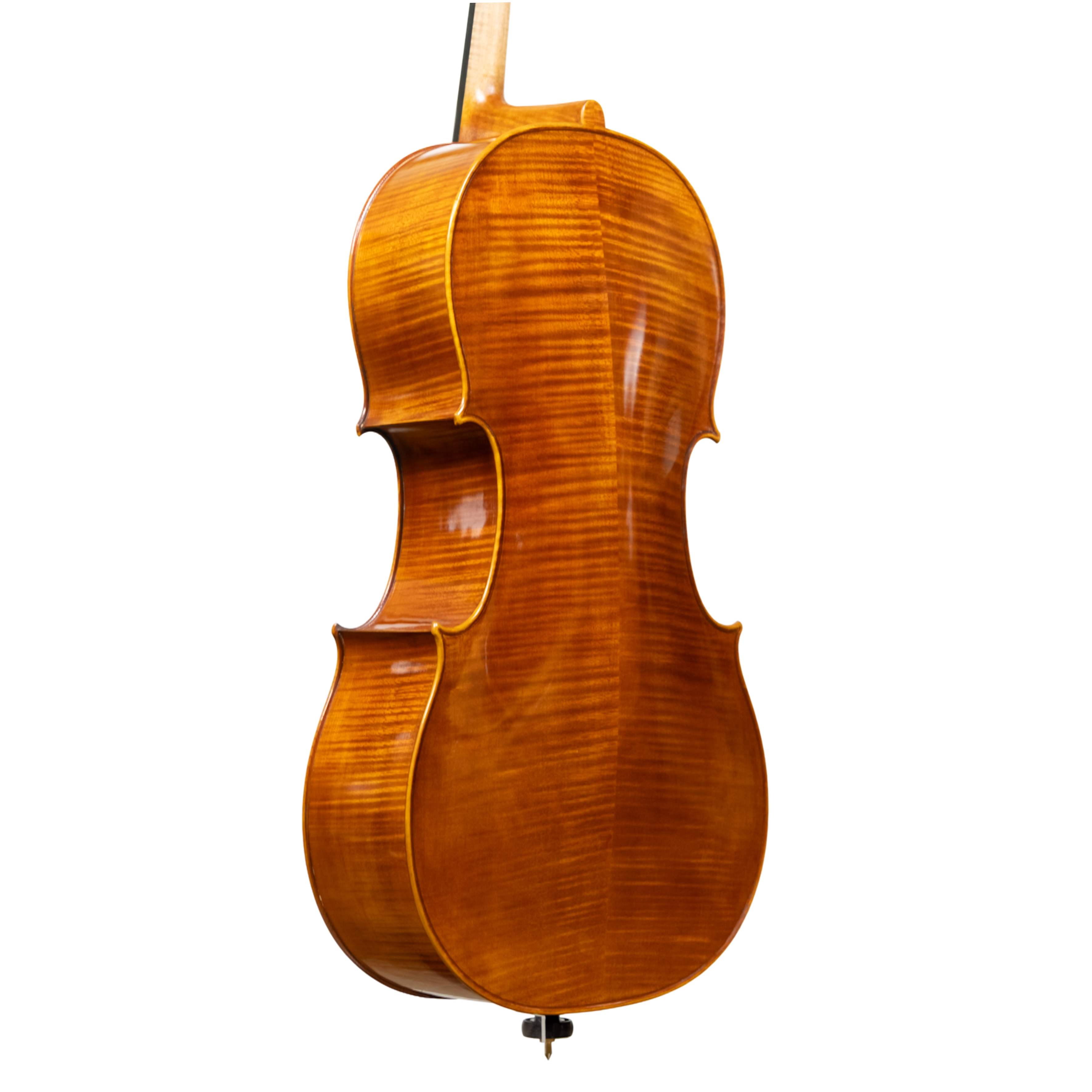 Cello - Linea Macchi, Stradivari "Gore Booth", Cremona 2026