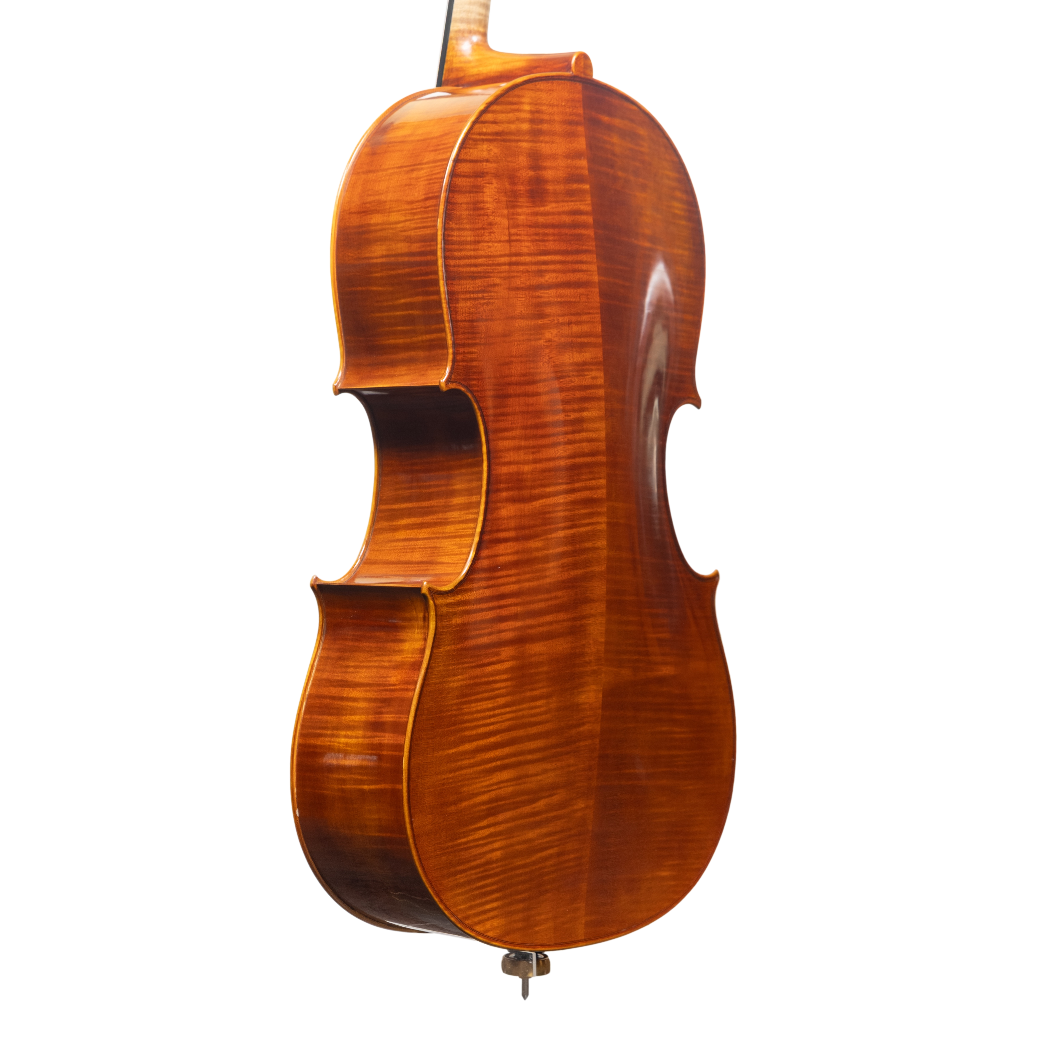 Cello - Linea Macchi, Domenico Montagnana "Sleeping Beauty", Cremona 2025 (1)