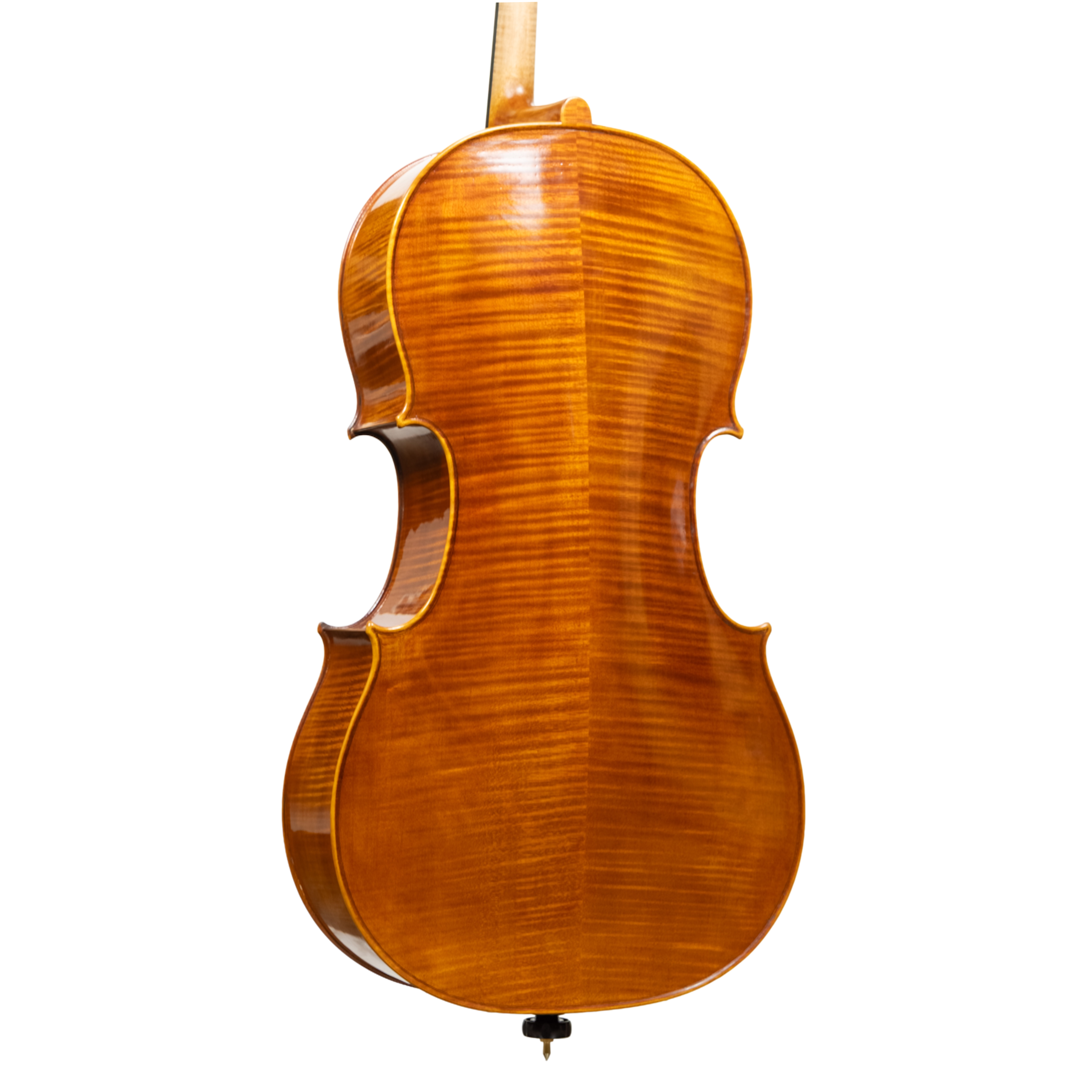 Cello - Linea Macchi, Stradivari "Gore Booth", Cremona 2026