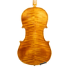 Violin - Linea Macchi, Stradivari Cremona 2025 B