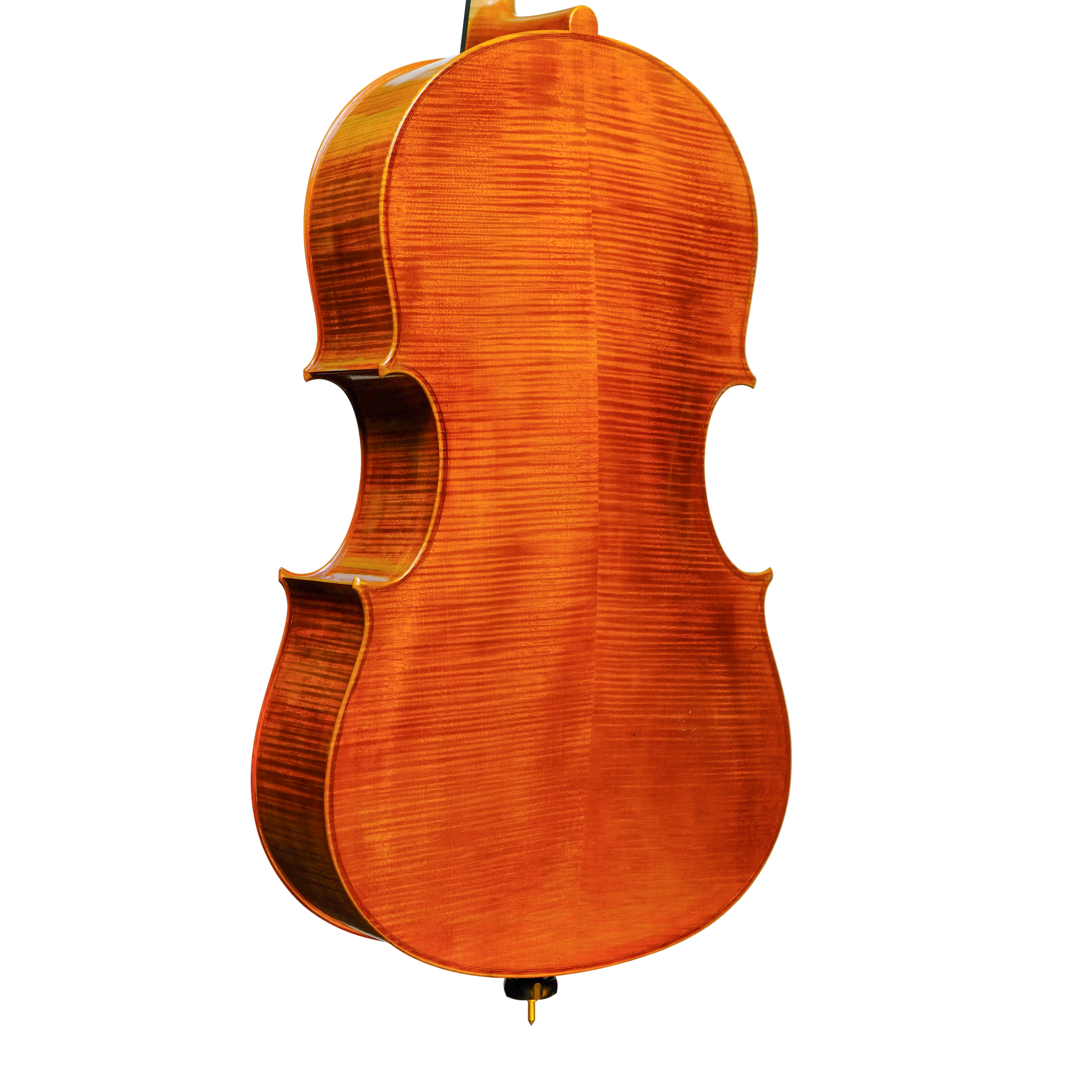 Cello - Linea Macchi 7/8, Montagnana, Cremona 2023