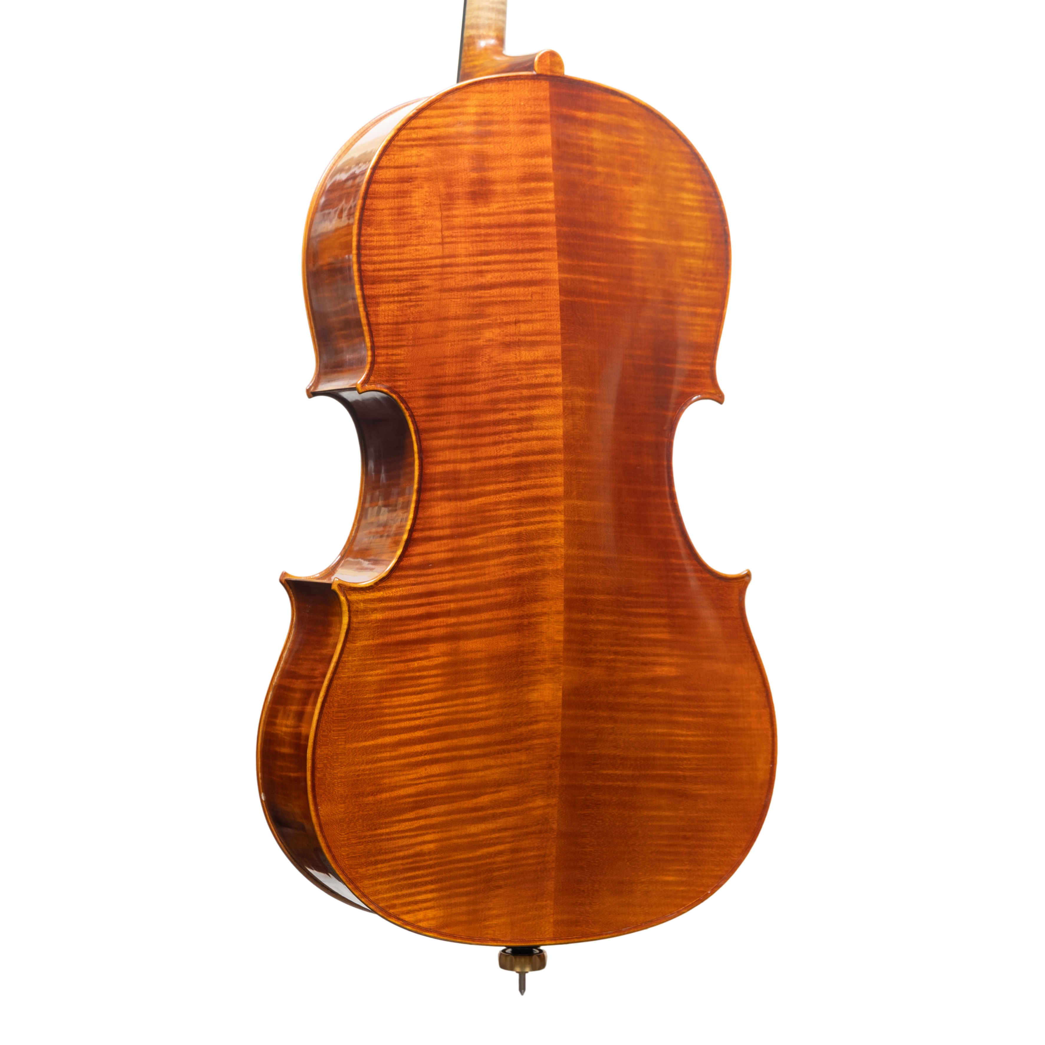 Cello - Linea Macchi, Domenico Montagnana "Sleeping Beauty", Cremona 2025 (1)