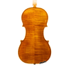 Violin - Linea Macchi, Guarneri "Lord Wilton" 2026 Avisio