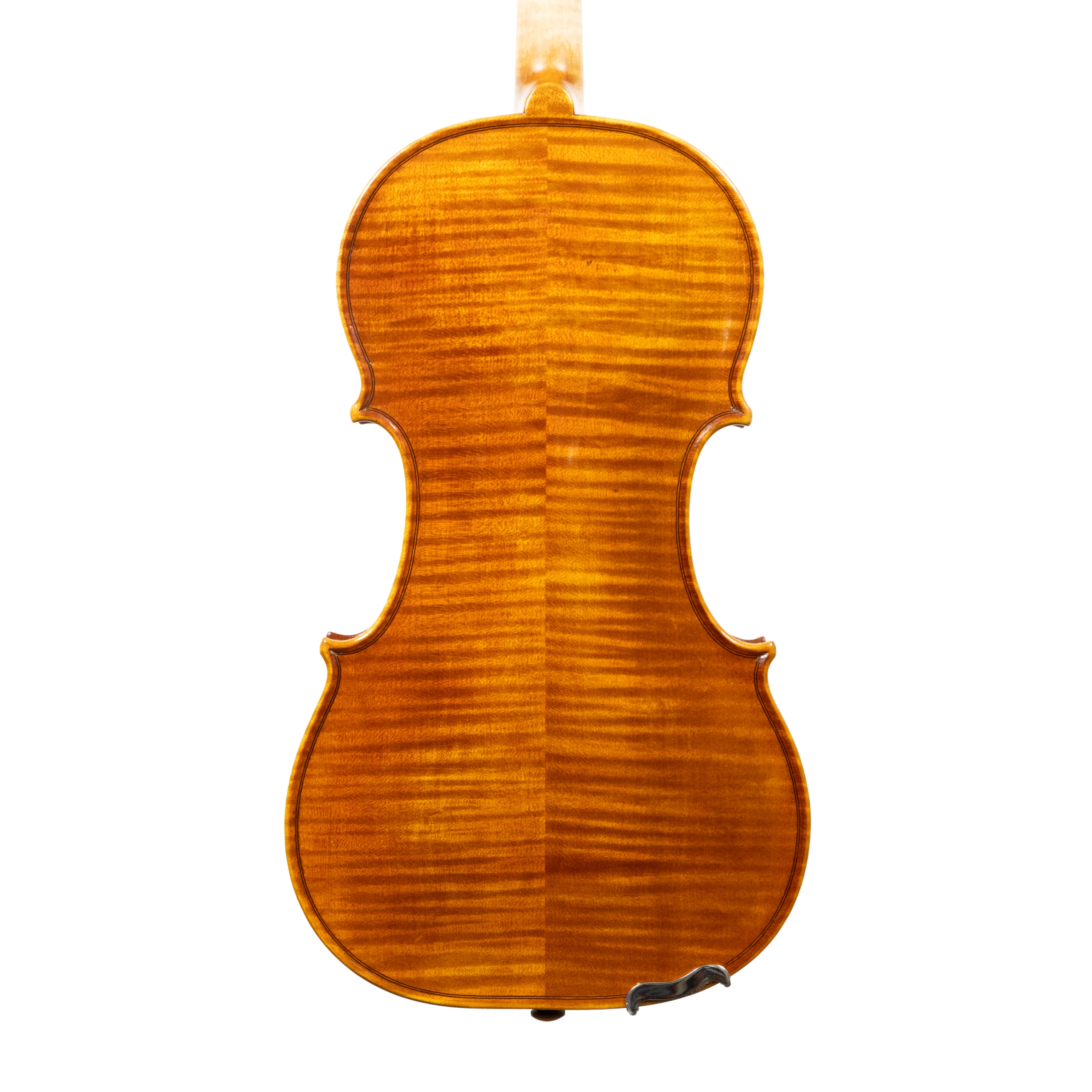 Violin - Linea Macchi, Guarneri "Lord Wilton" 2026 Avisio