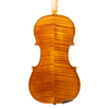 Violin - Linea Macchi, Guarneri "Lord Wilton" 2026 Fersina