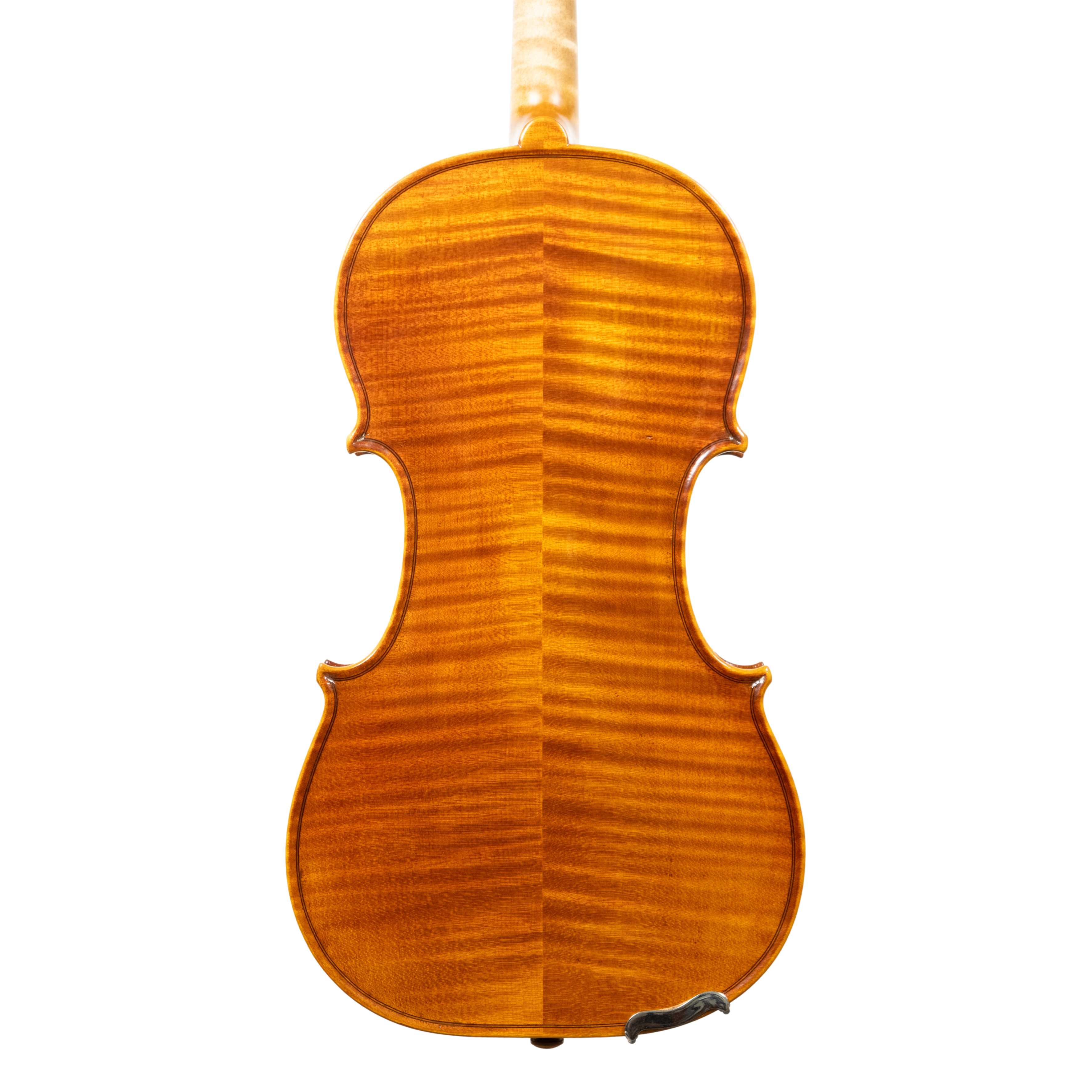 Violin - Linea Macchi, Guarneri "Lord Wilton" 2026 Fersina