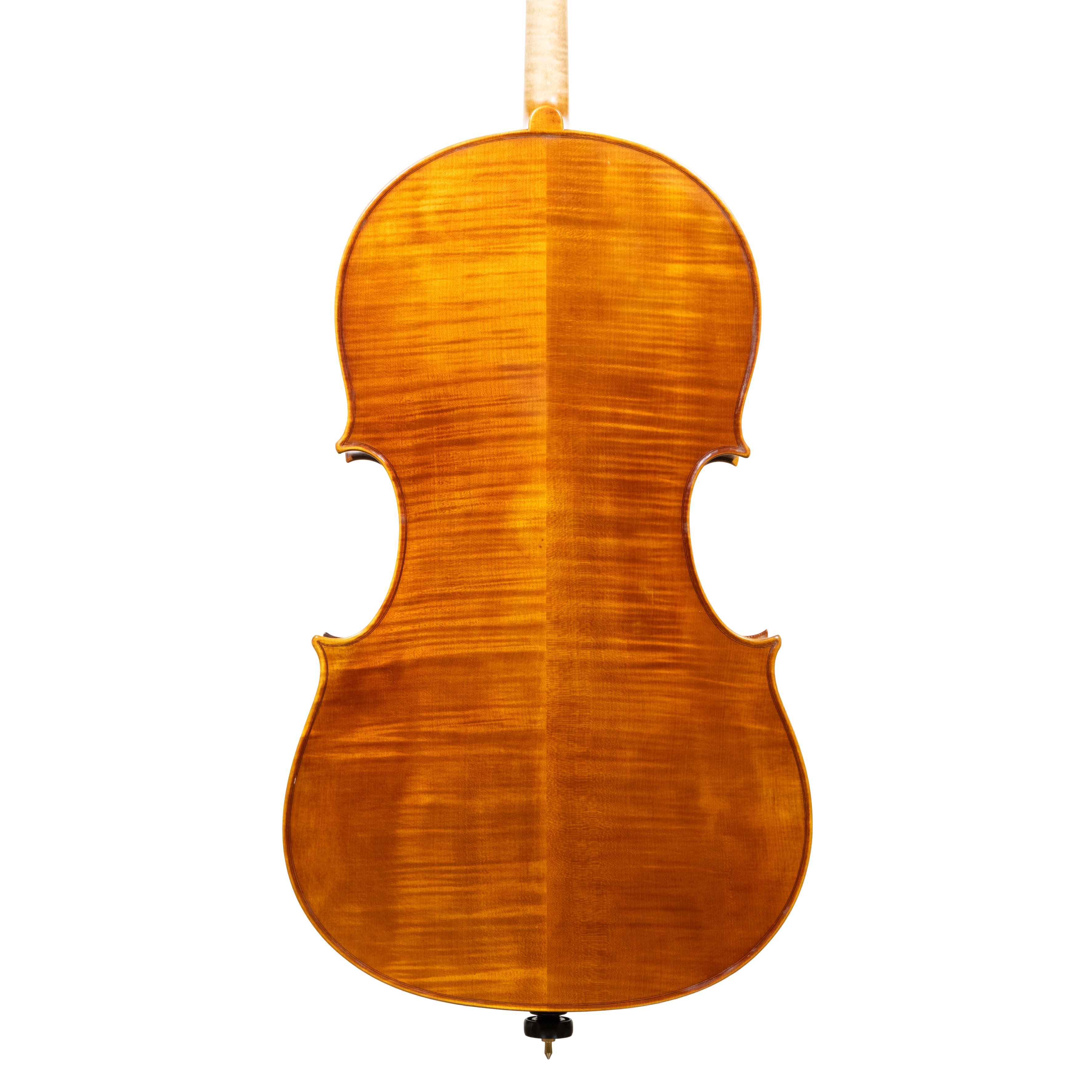 Cello - Linea Macchi, Domenico Montagnana "Sleeping Beauty", Cremona 2026