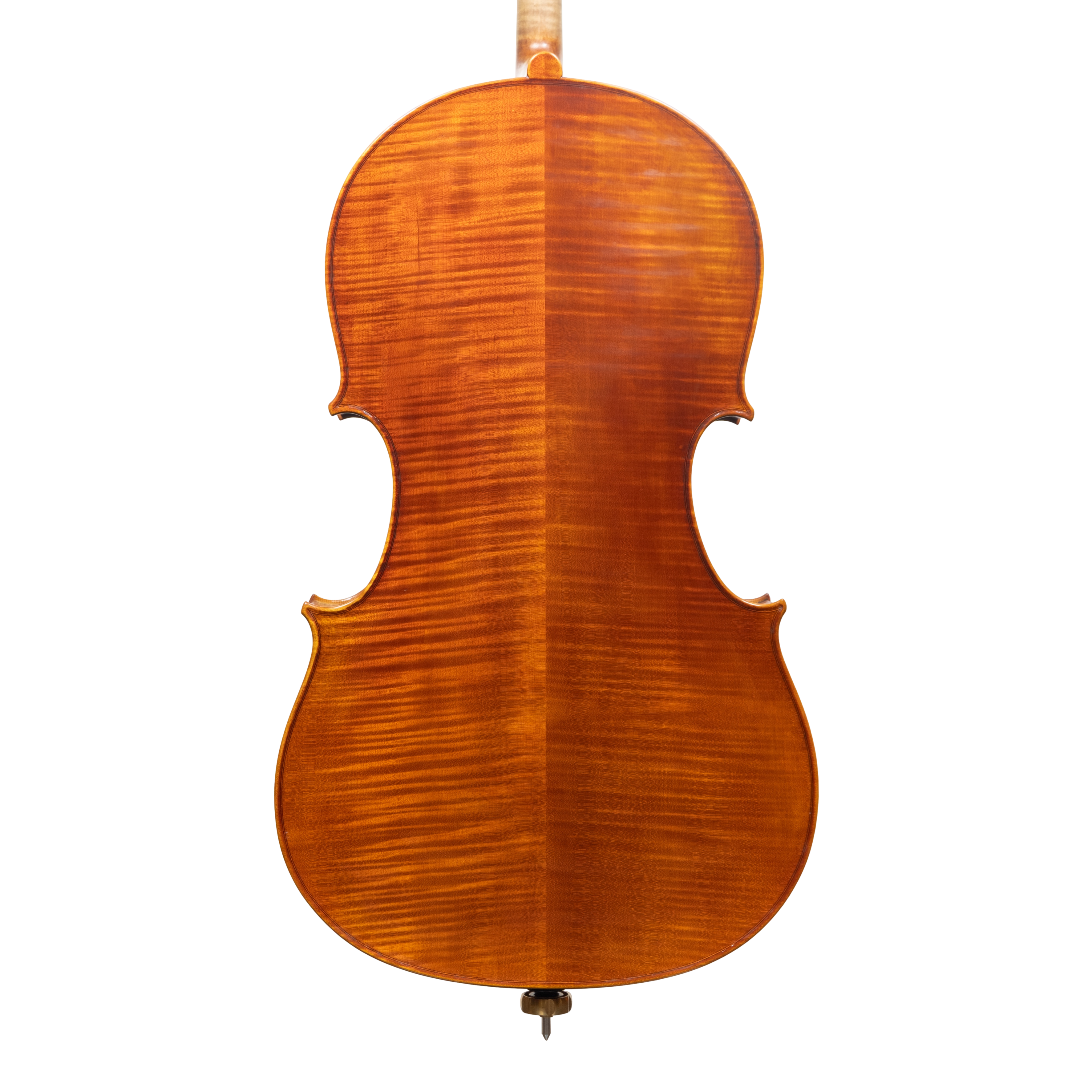 Cello - Linea Macchi, Domenico Montagnana "Sleeping Beauty", Cremona 2025 (1)