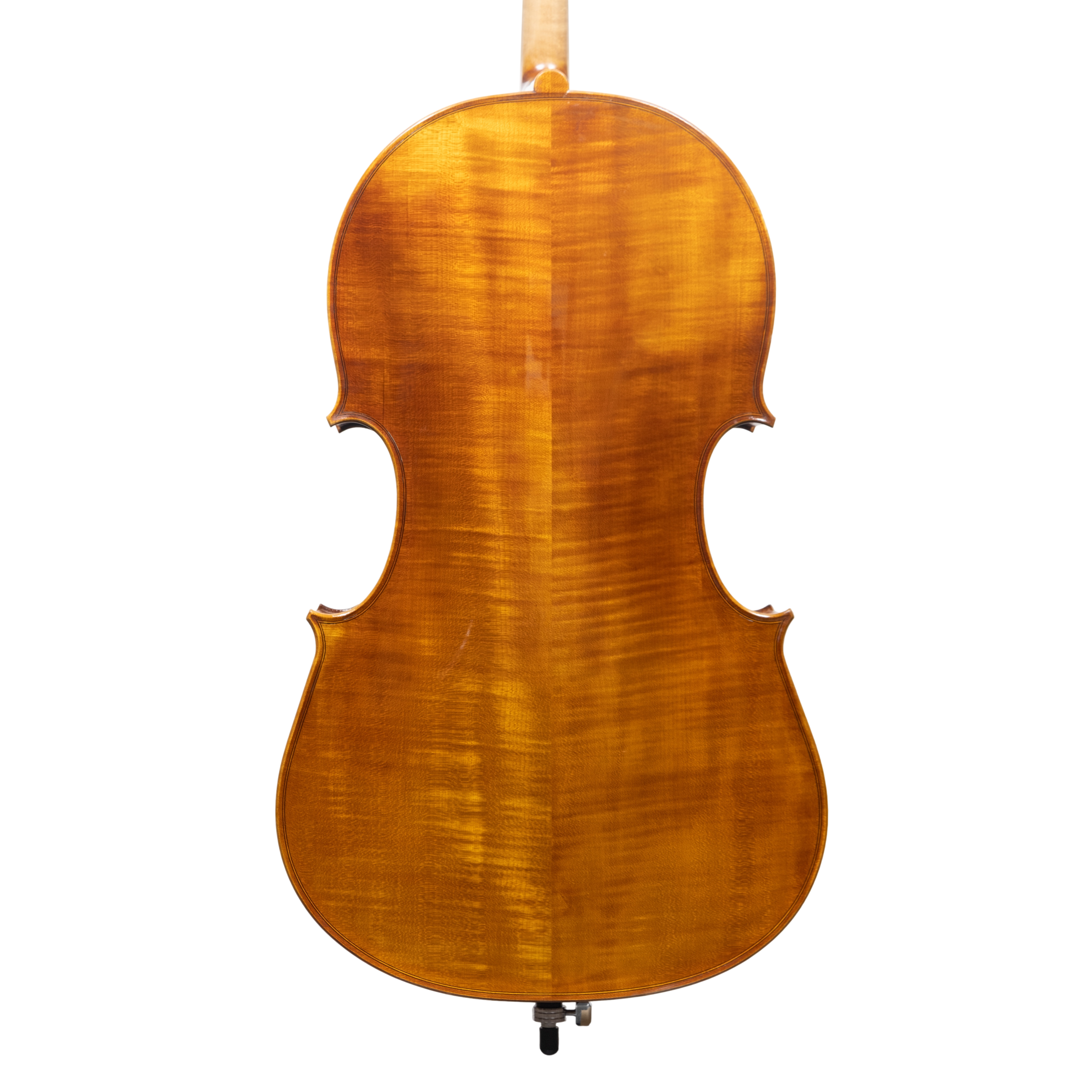 Cello - Scala Perfetta, Montagnana, Cremona 2025 "CERVATI"