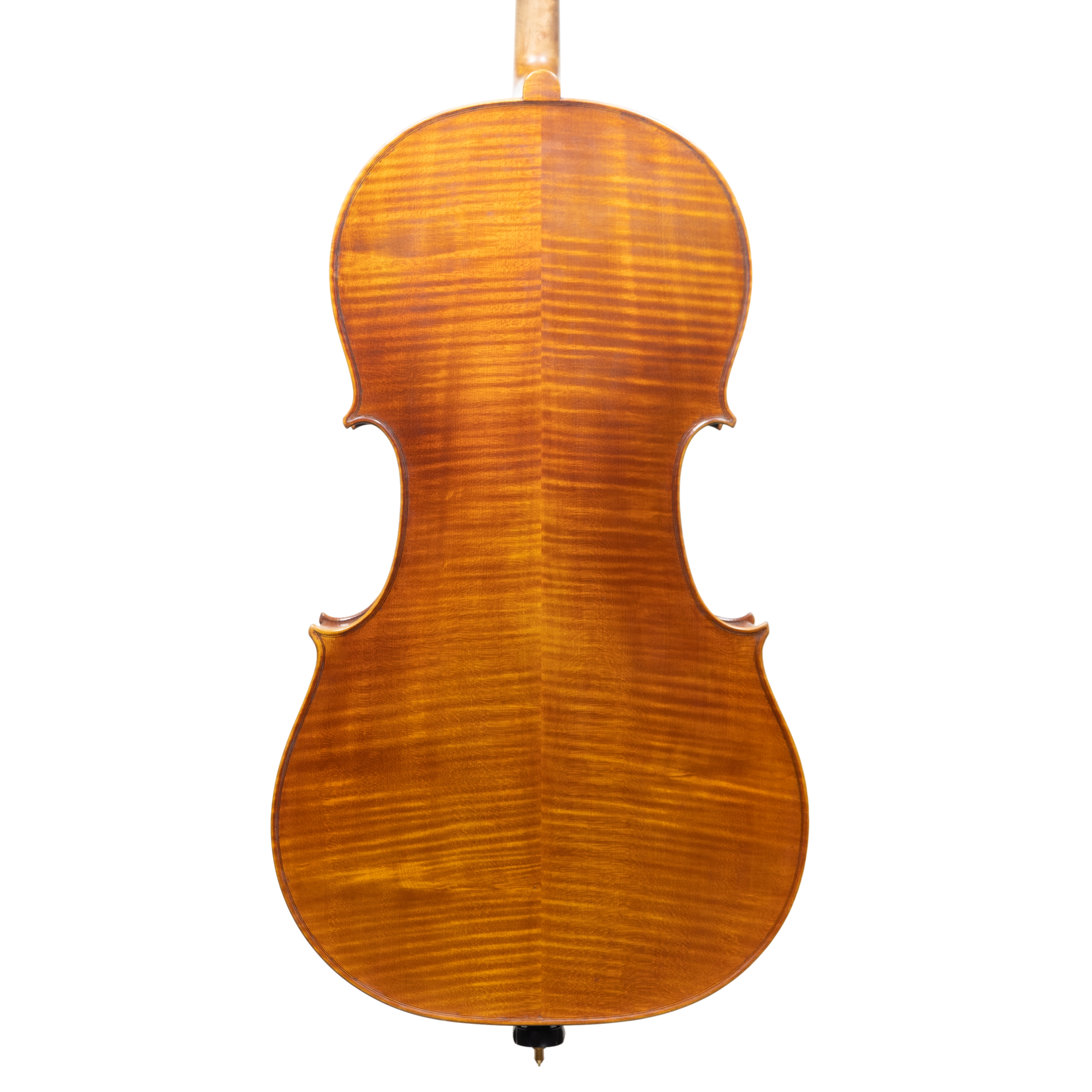 Cello - Stefano Guerreschi, mod. Stradivari "Gore Booth", Cremona 2025
